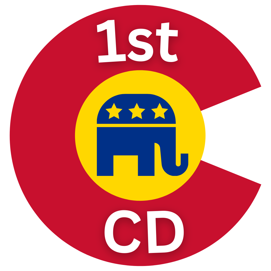 1st CD Representative To Colorado GOP State Executive Committee in a suit with an orange tie, against a dark patterned background.