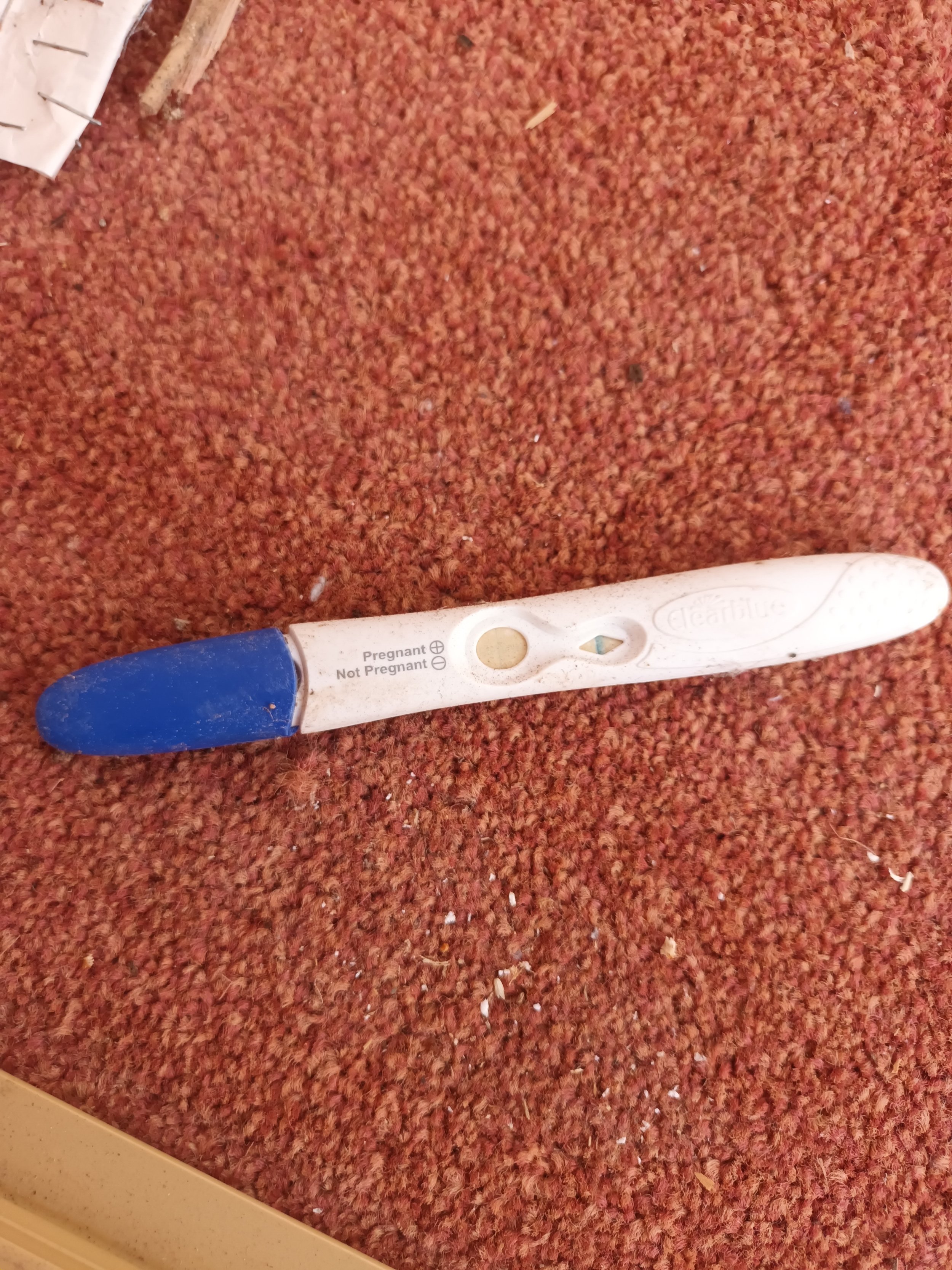 Glimpses into other women’s lives