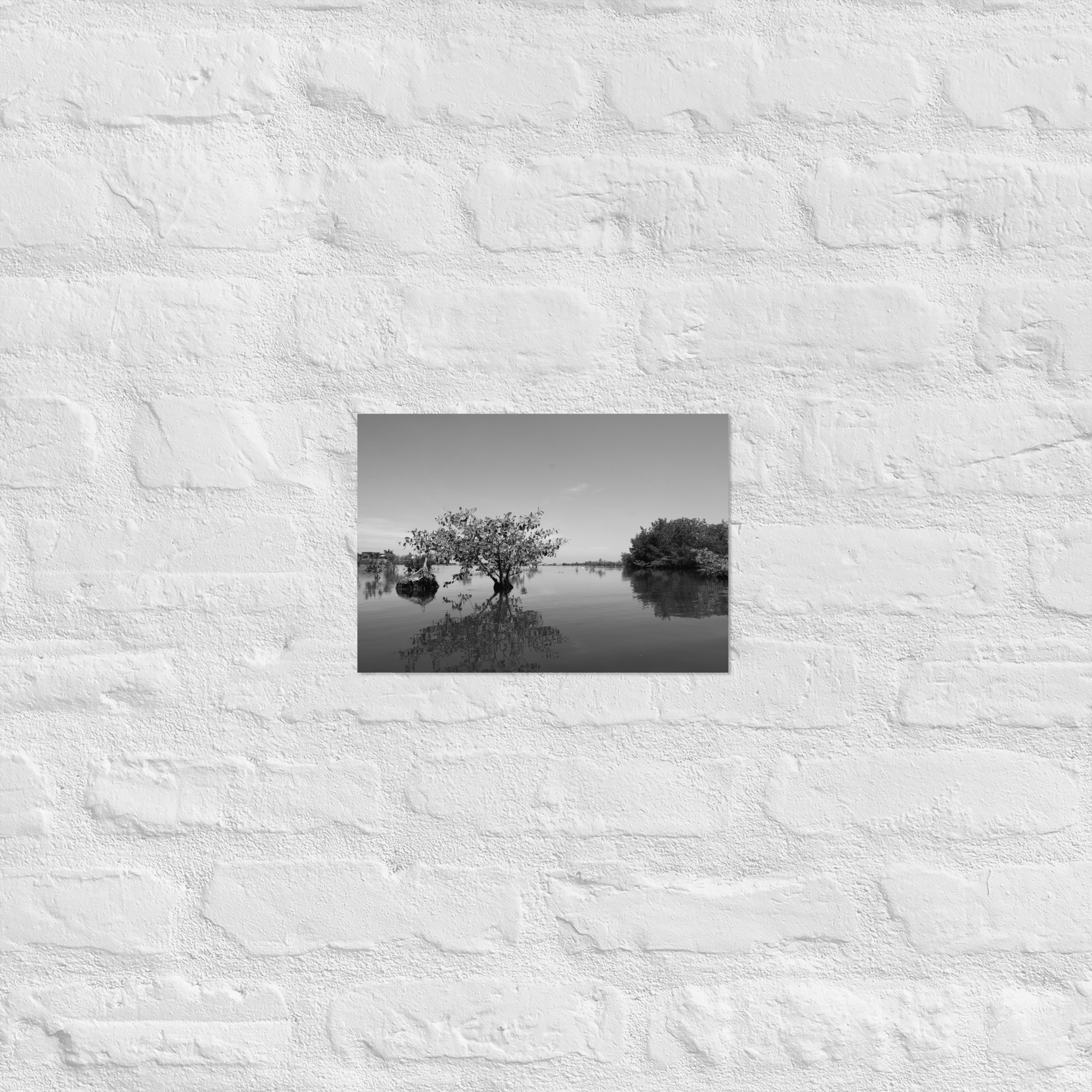 Schwarz-Weiß Naturfotografie – Mangroven Spiegelung 21×30 cm Kunstdruck