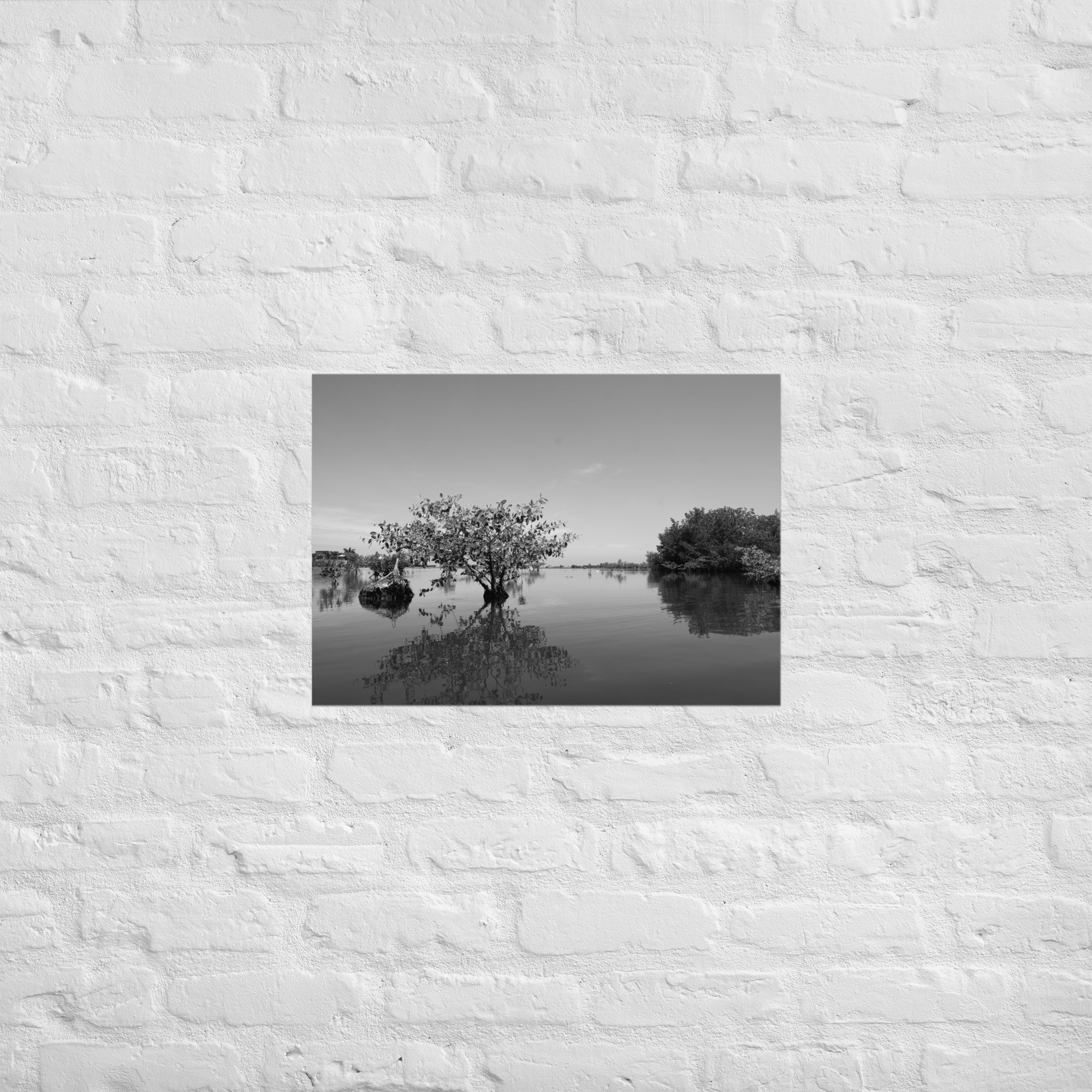 Minimalistische Schwarz-Weiß Landschaft – Mangroven 30×40 cm Poster