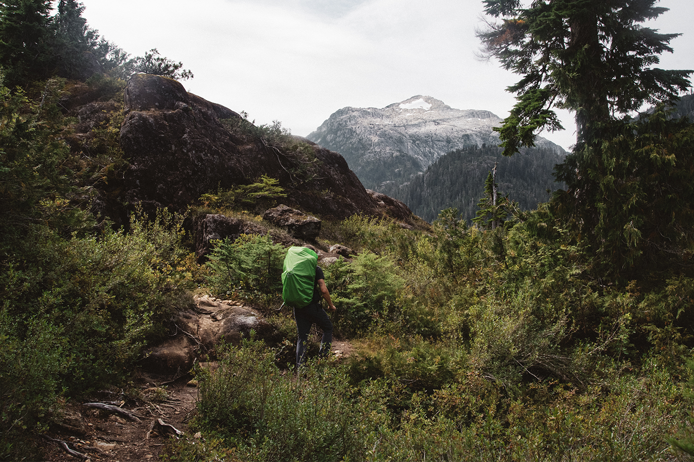 A hiker with a green backpack walking on a mountain trail surrounded by lush vegetation, with a snow-covered peak visible in the distance under a cloudy sky.