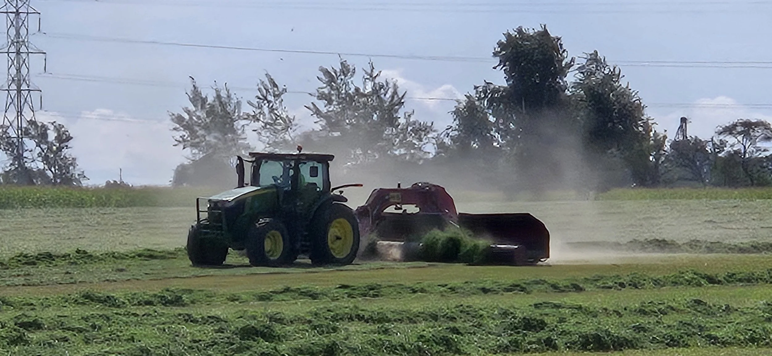 20240903_110146 - Copy.jpg