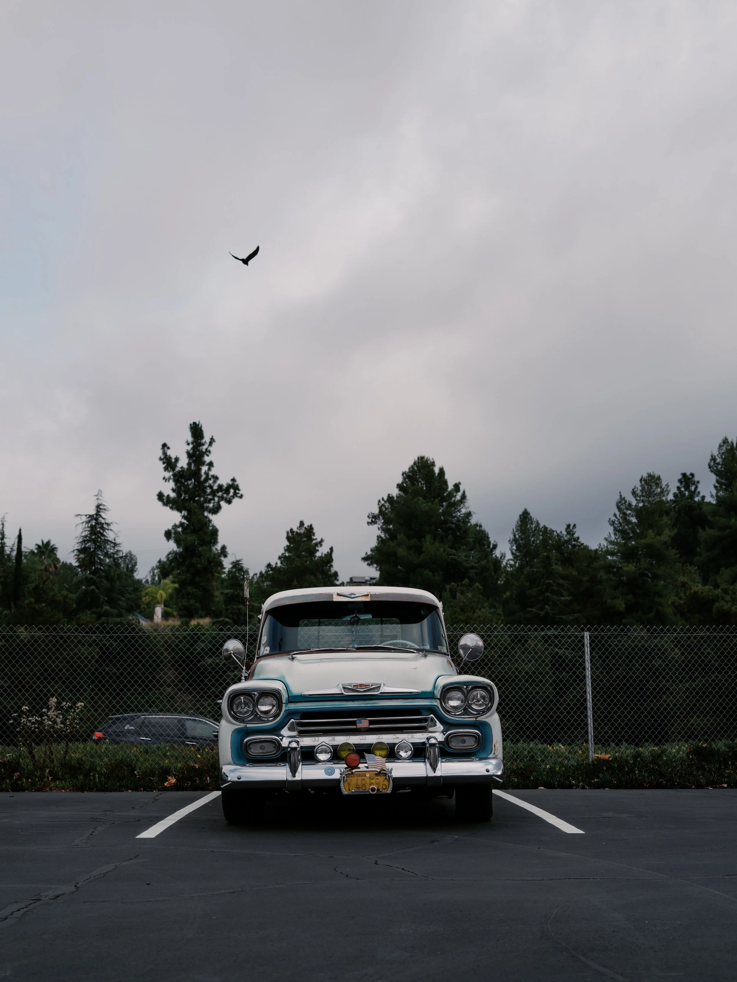 L1020819.jpg