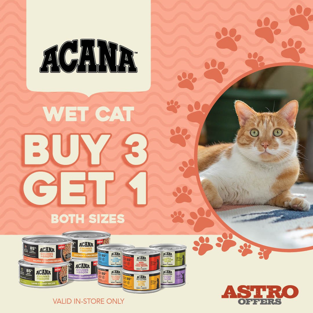 acana cat wet (2).jpeg