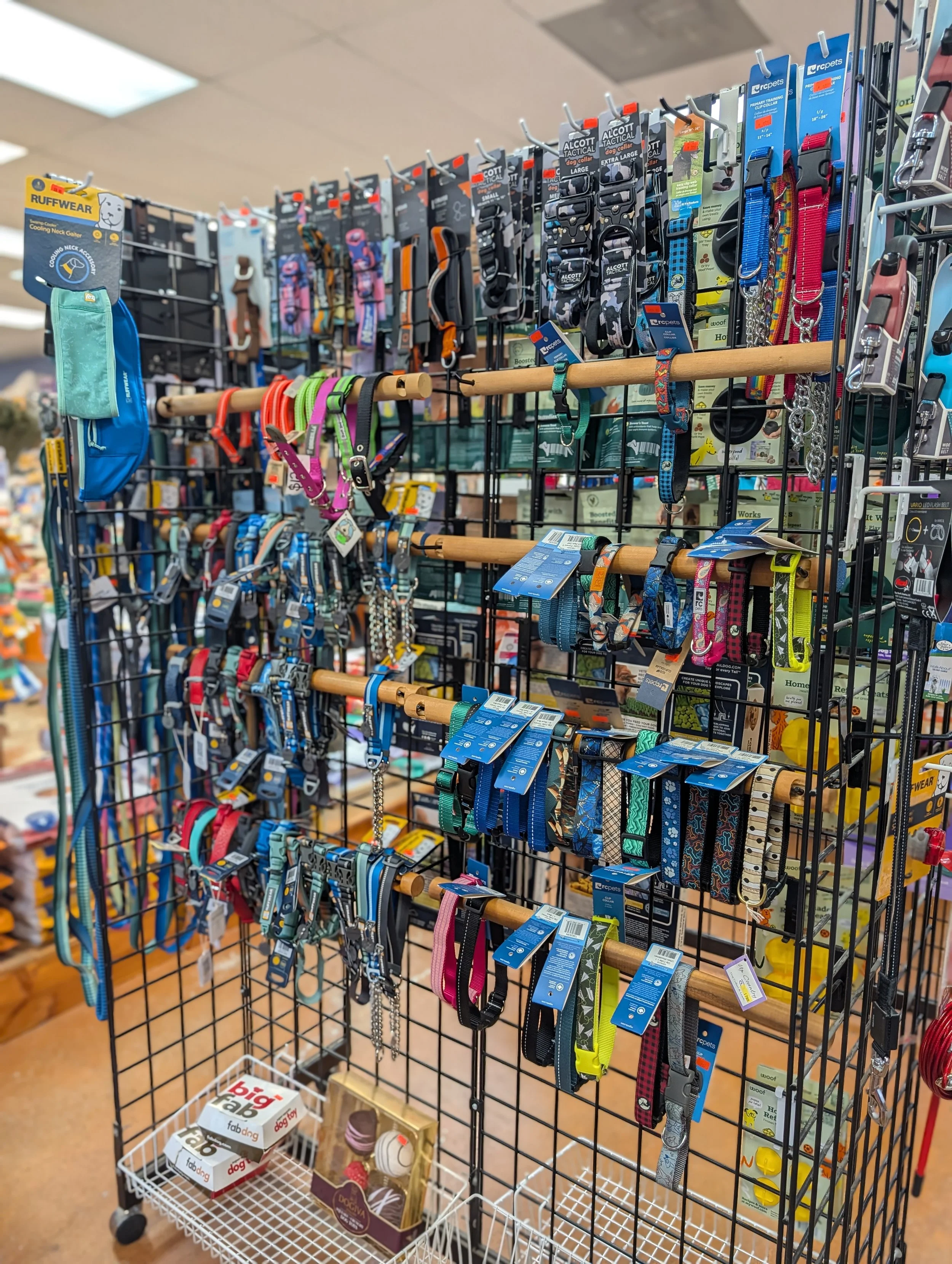 Portland Pet Supply dog collars