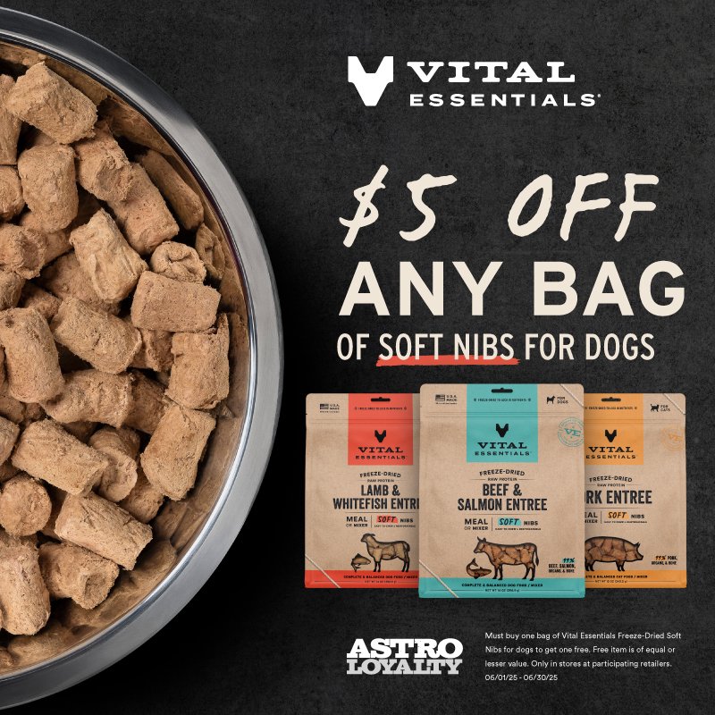 vital soft nib dog.jpeg