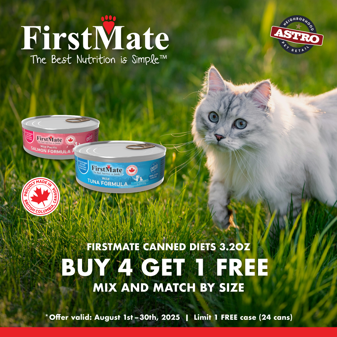 fmate cat can.png