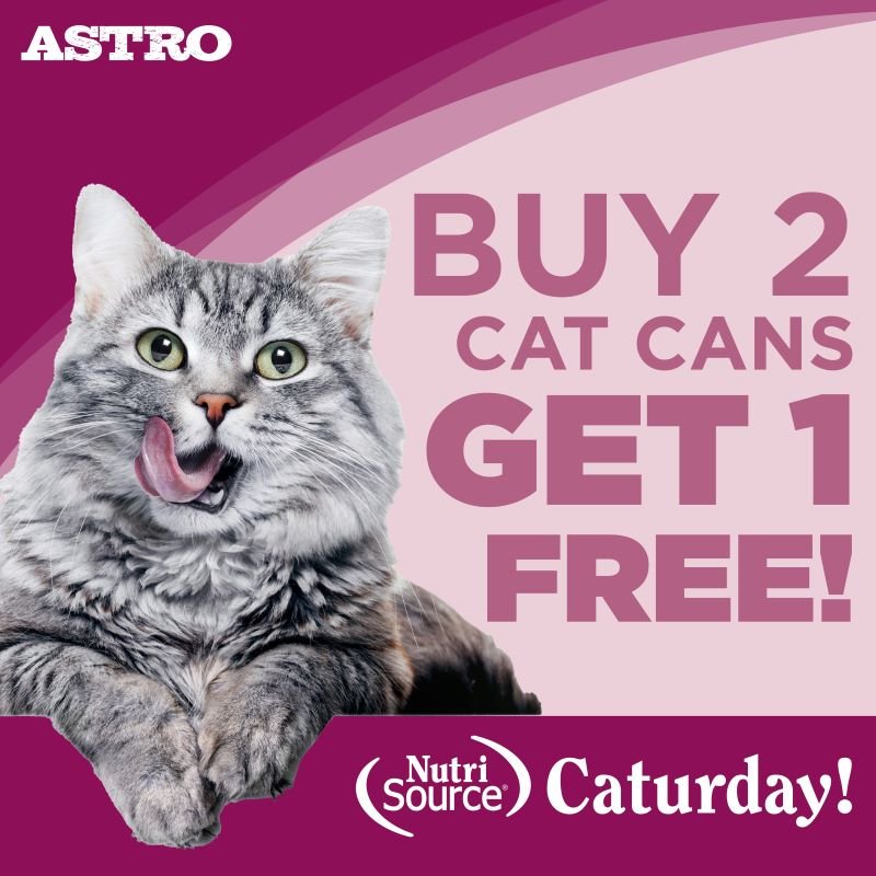 NS Caturday can (1).jpeg