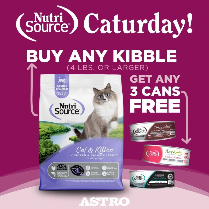 NS Caturday kibble (1).jpeg