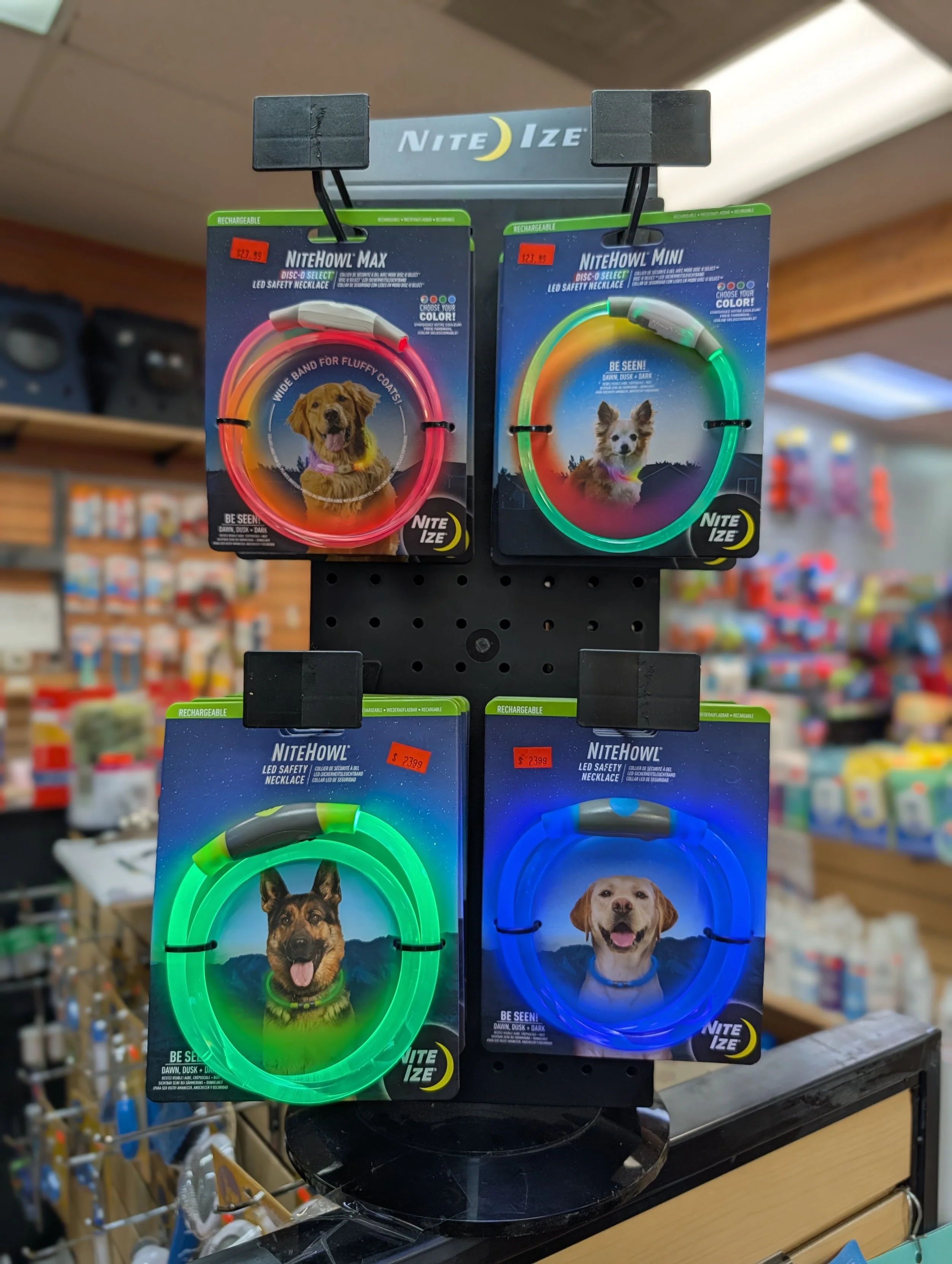 Portland Pet Supply Nite Ize light up collars