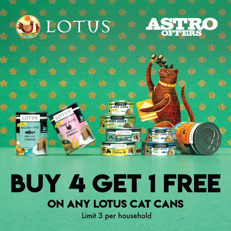 lotus cat can (5).jpeg