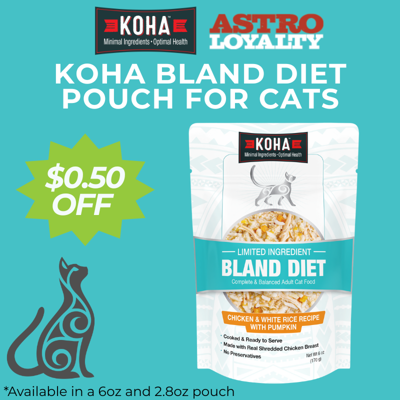 koha bland cat.png