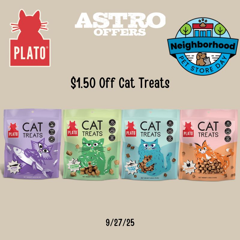 PLATO CAT.png