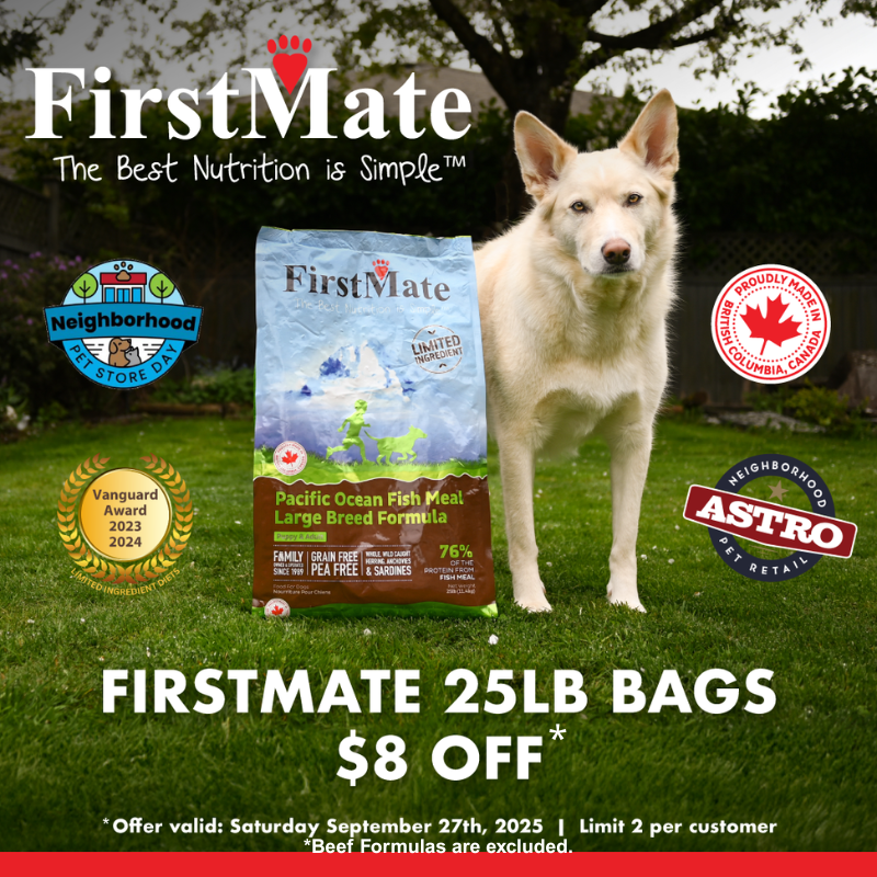 FIRSTMATE (2).png