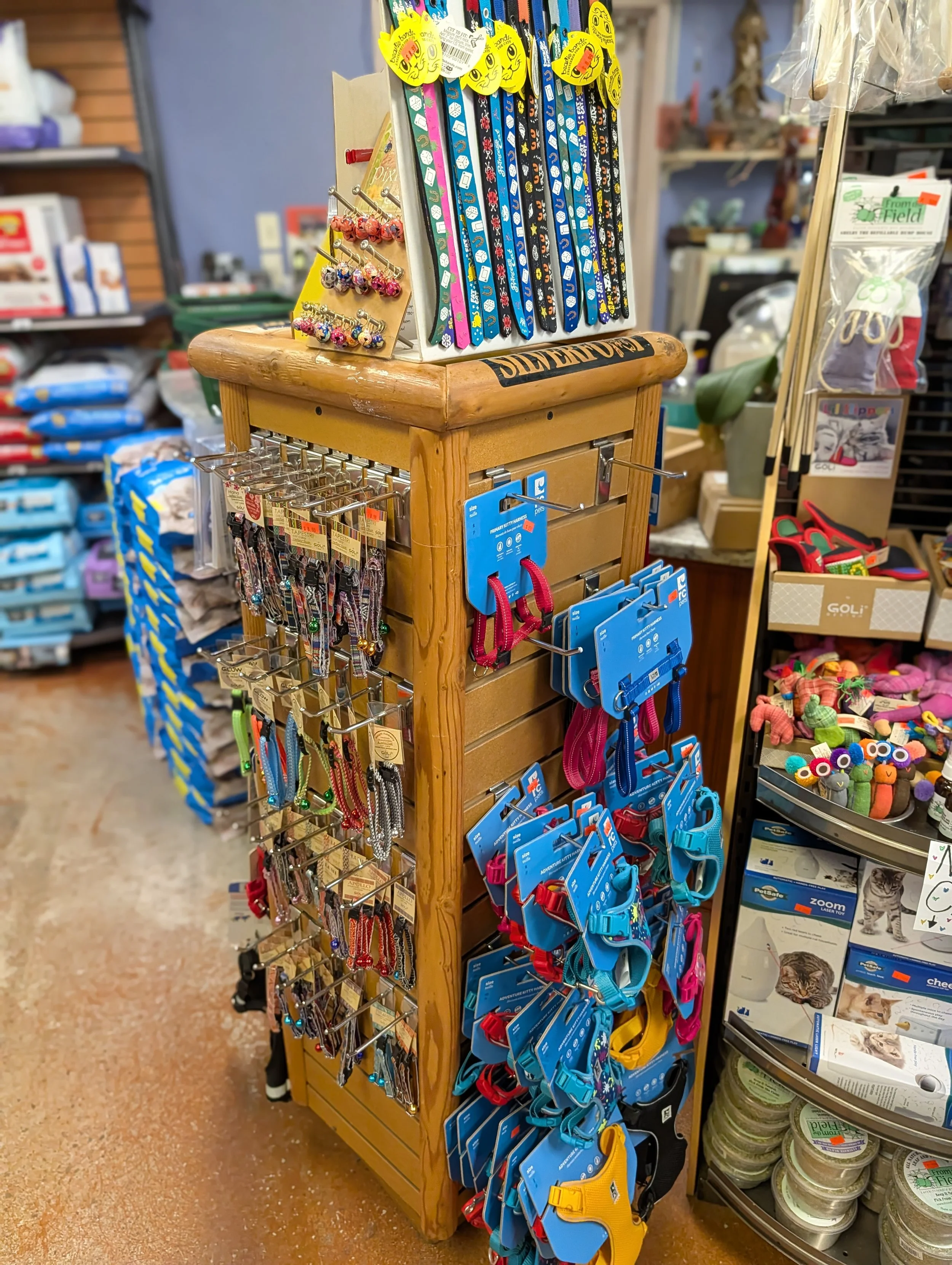 Portland Pet Supply cat collars and harnesses