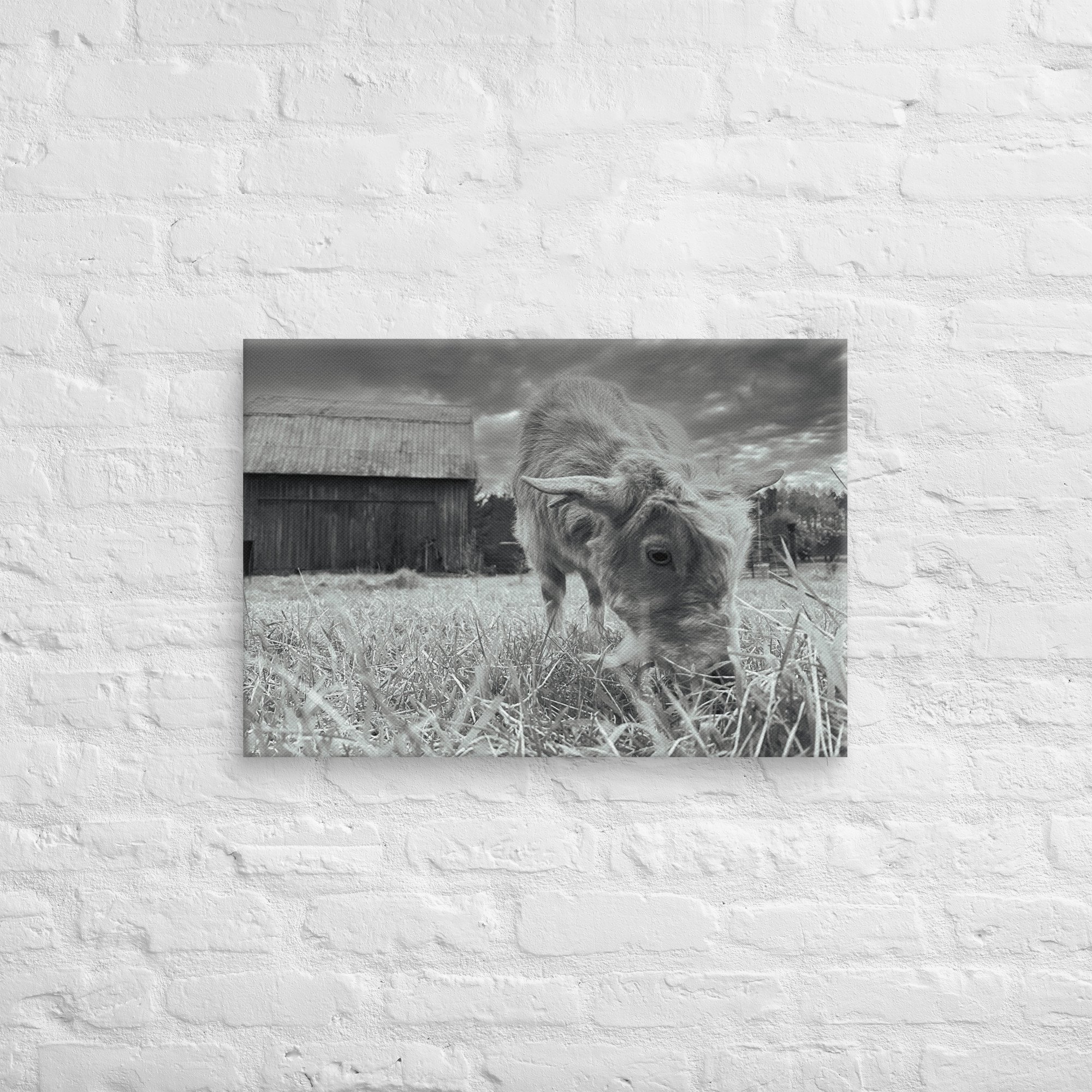 canvas-(in)-18x26-front-67c395c78a0c6.jpg