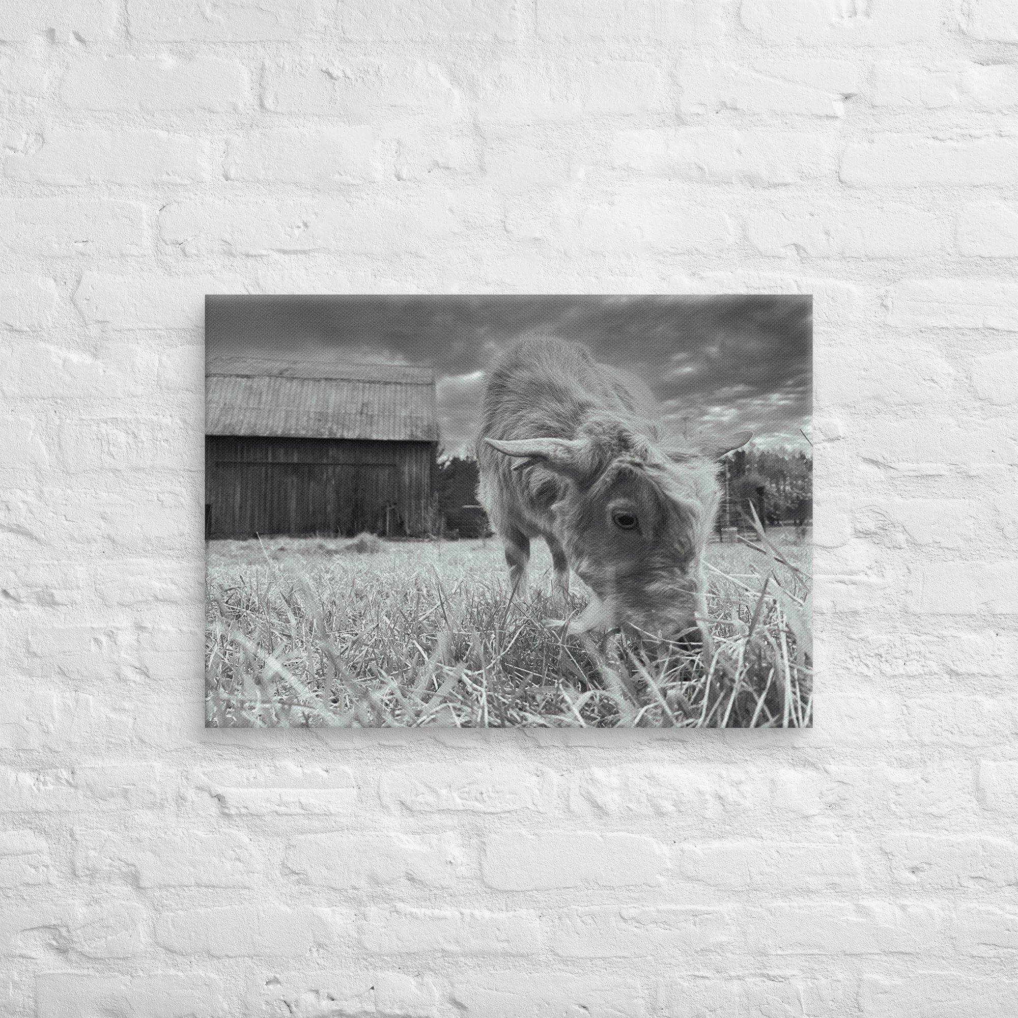 canvas-(in)-20x28-front-67c395c78a181.jpg