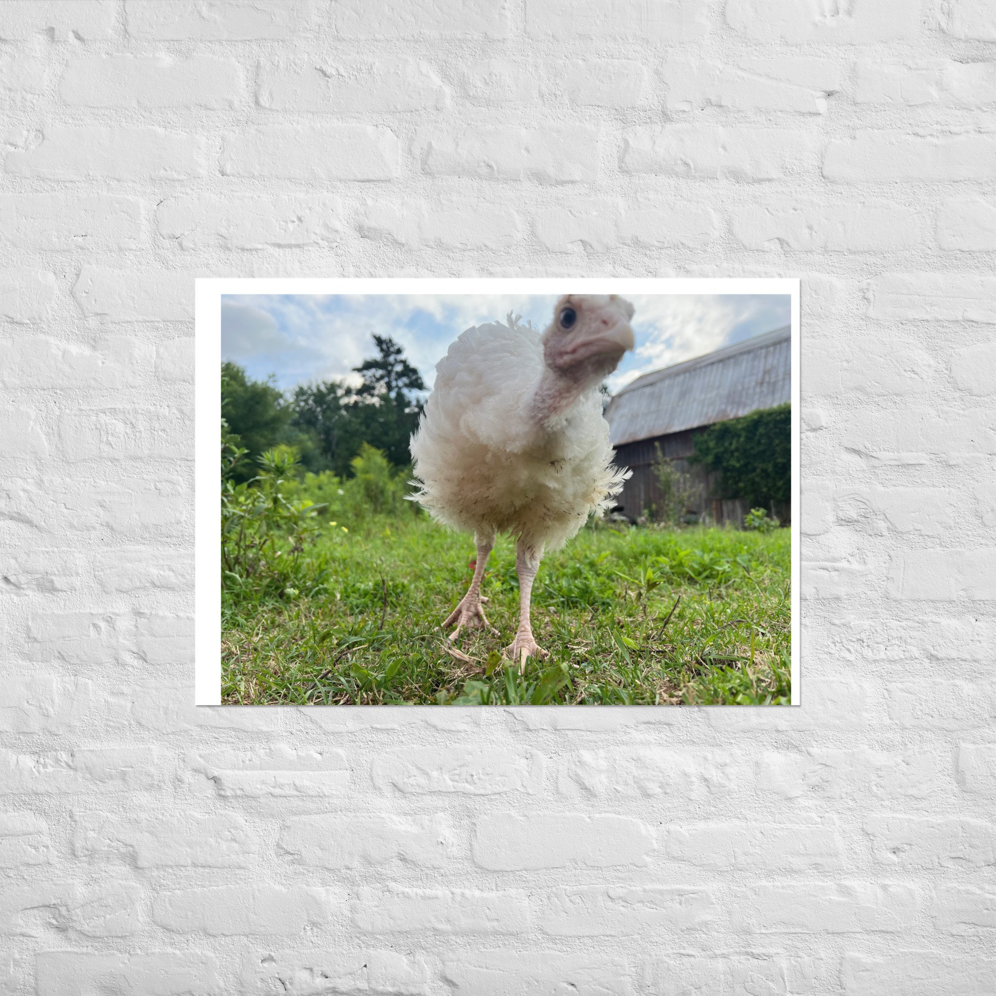 enhanced-matte-paper-poster-(in)-a1-(23.3x33.1)-front-67c4bcd0dc7f1.jpg