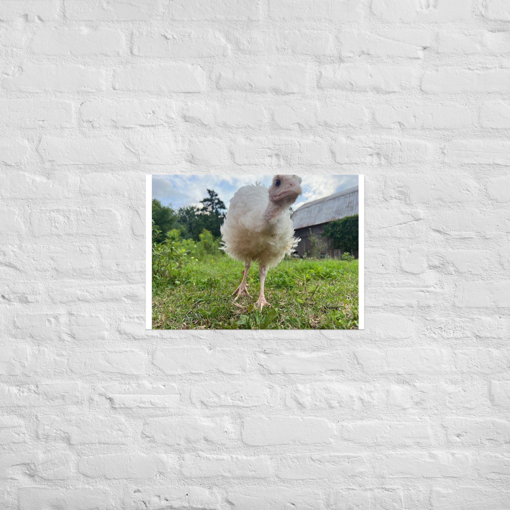 enhanced-matte-paper-poster-(in)-a2-(16.5x23.3)-front-67c4bcd0dc85a.jpg