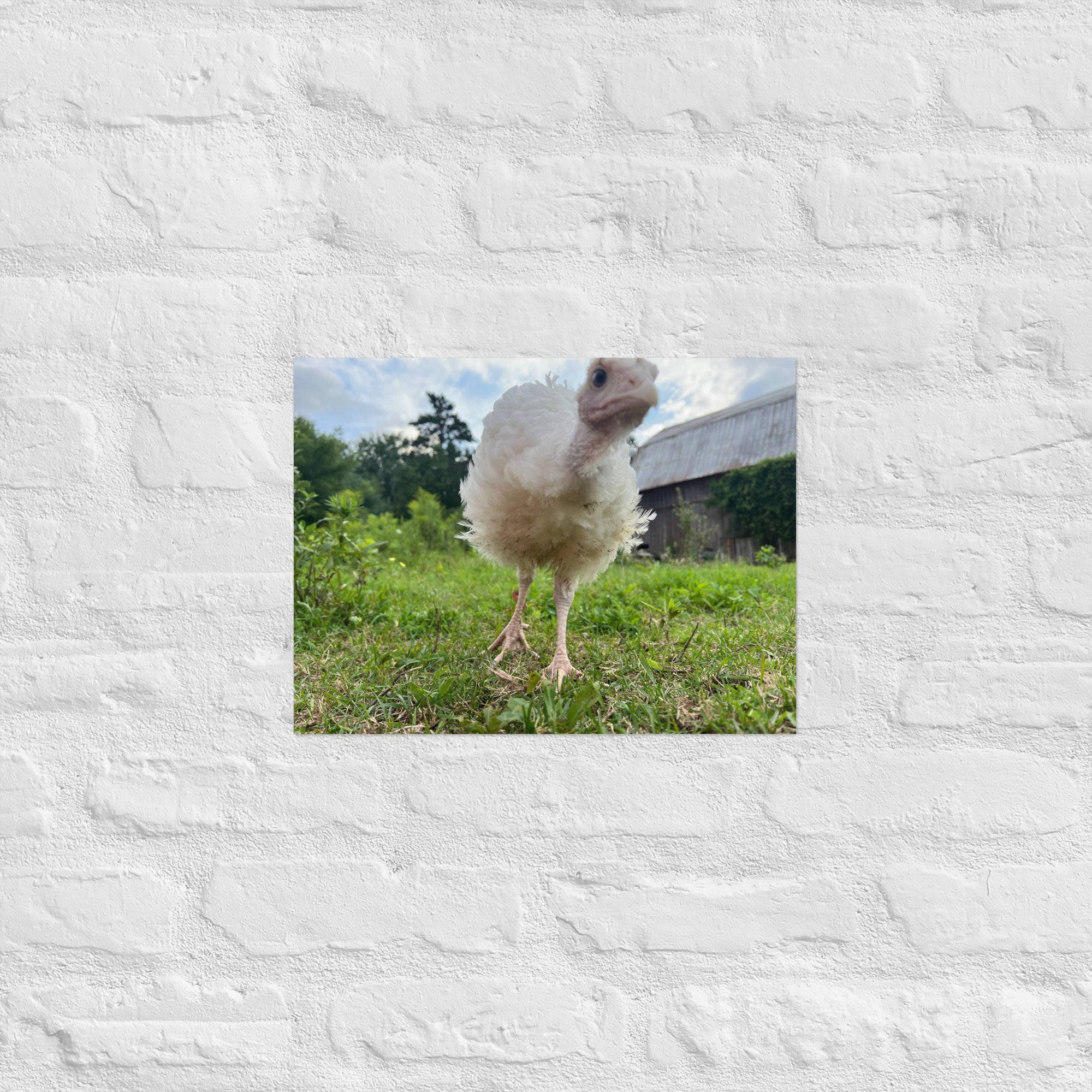 enhanced-matte-paper-poster-(in)-12x16-front-67c4bcd0dc9ad.jpg