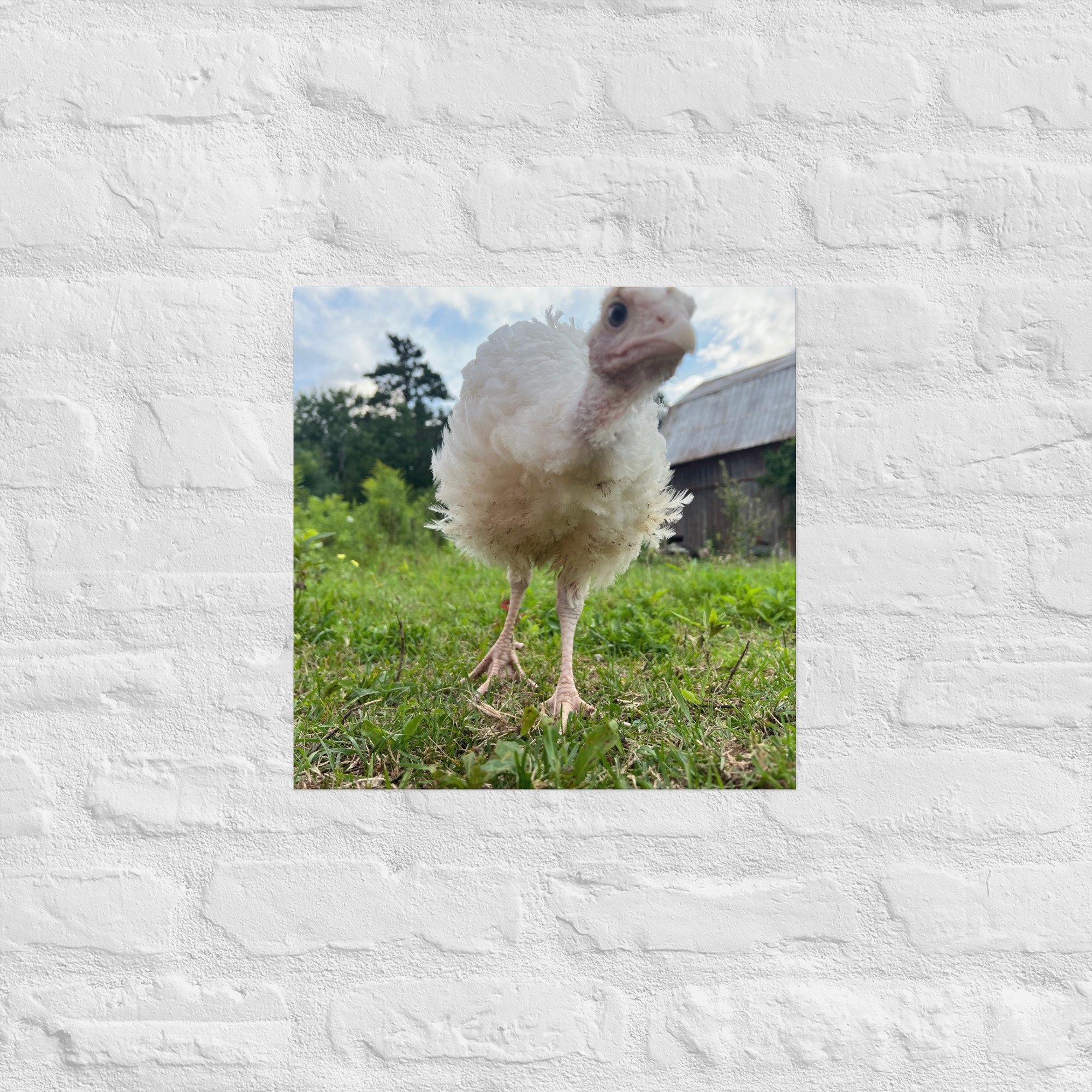 enhanced-matte-paper-poster-(in)-16x16-front-67c4bcd0dccf6.jpg