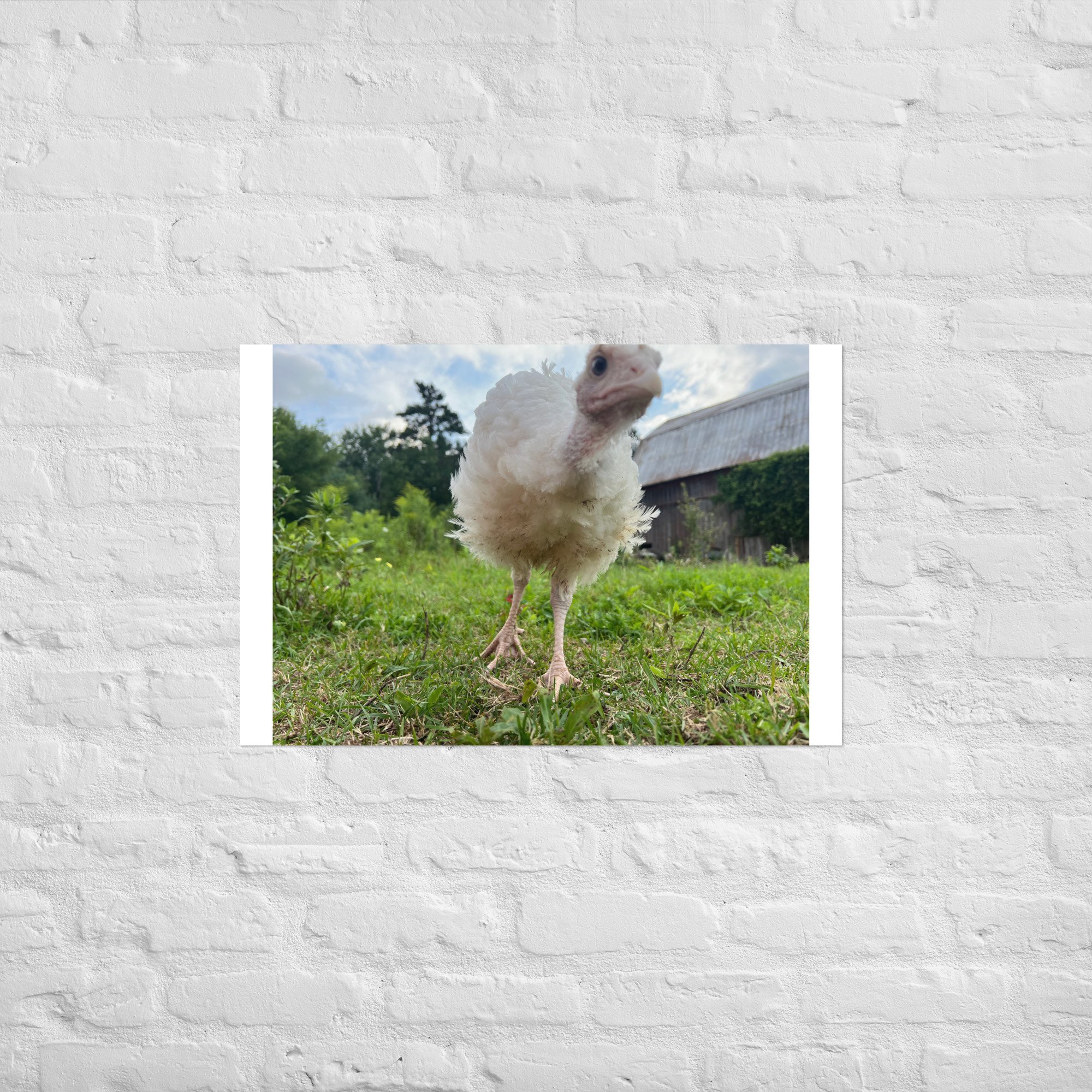 enhanced-matte-paper-poster-(in)-20x30-front-67c4bcd0dd0ed.jpg