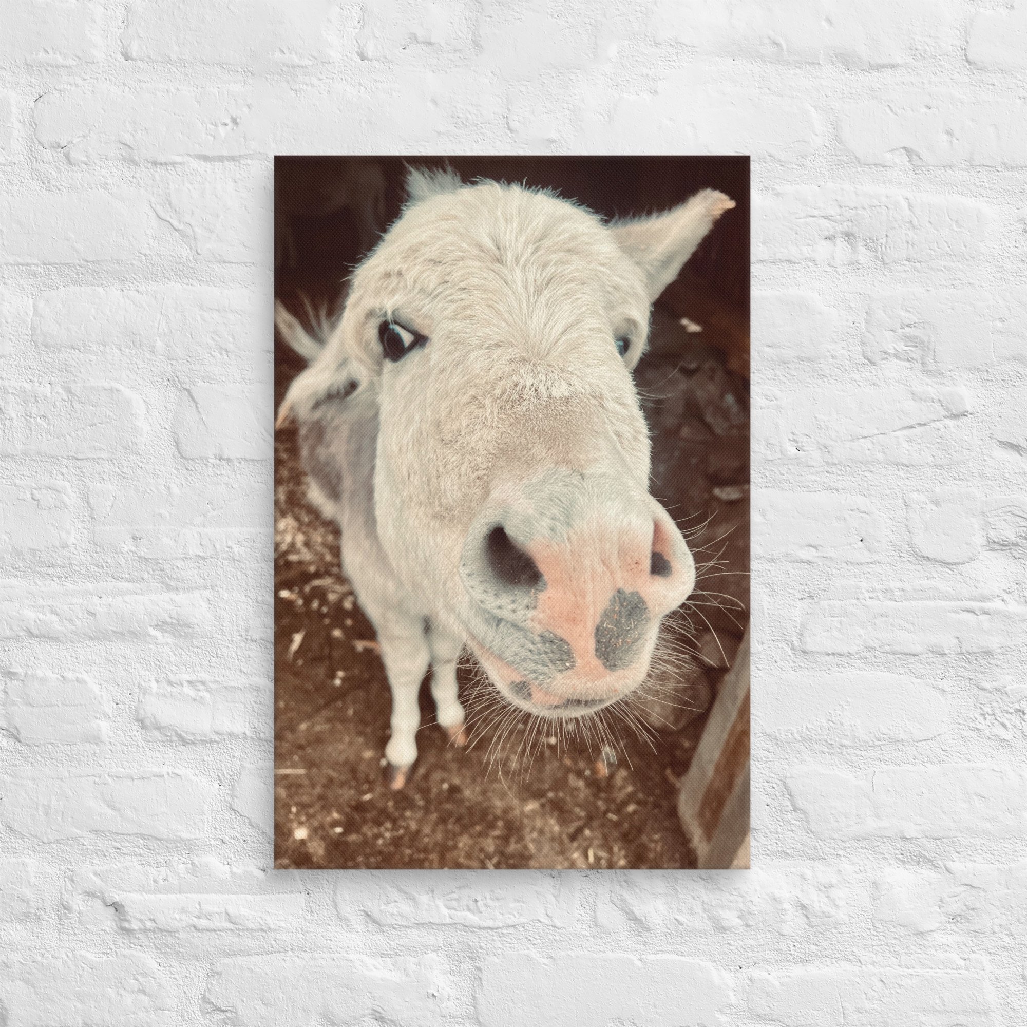 canvas-(in)-16x24-front-67c4bdccabefe.jpg