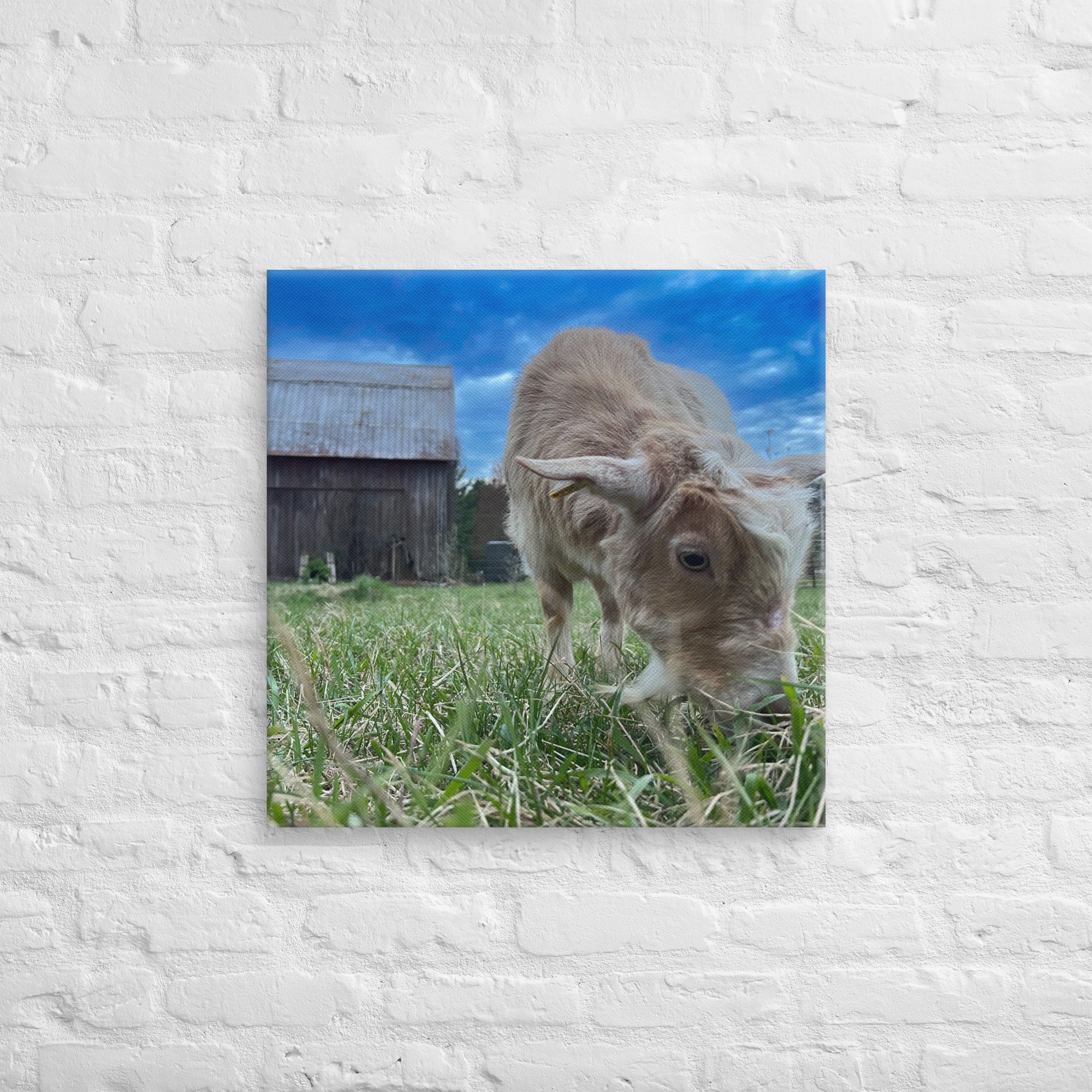canvas-(in)-24x24-front-67c4c39fb2a84.jpg