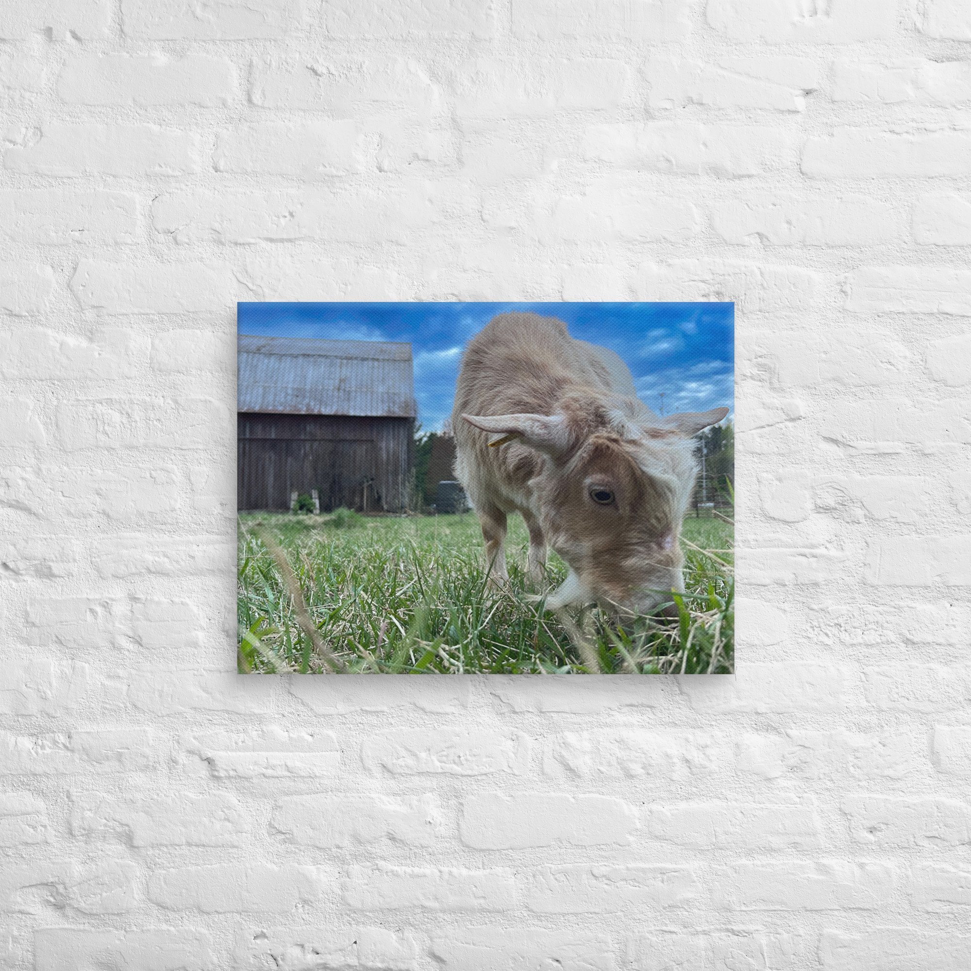 canvas-(in)-18x24-front-67c4c39fb2b01.jpg