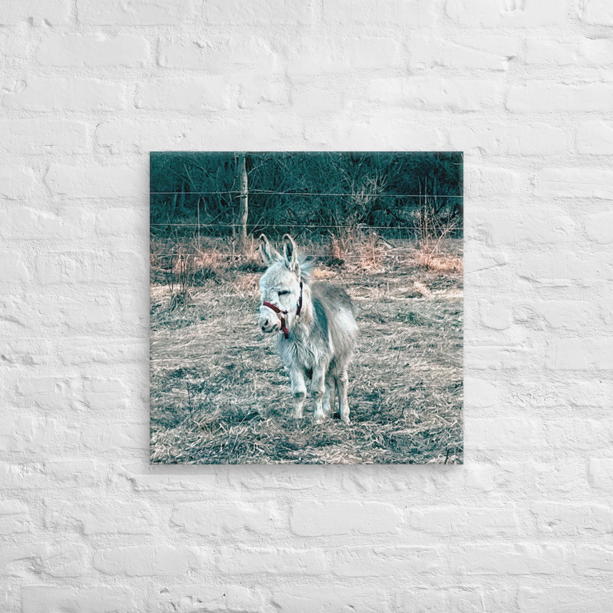 canvas-(in)-24x24-front-67c4c449ca999.jpg