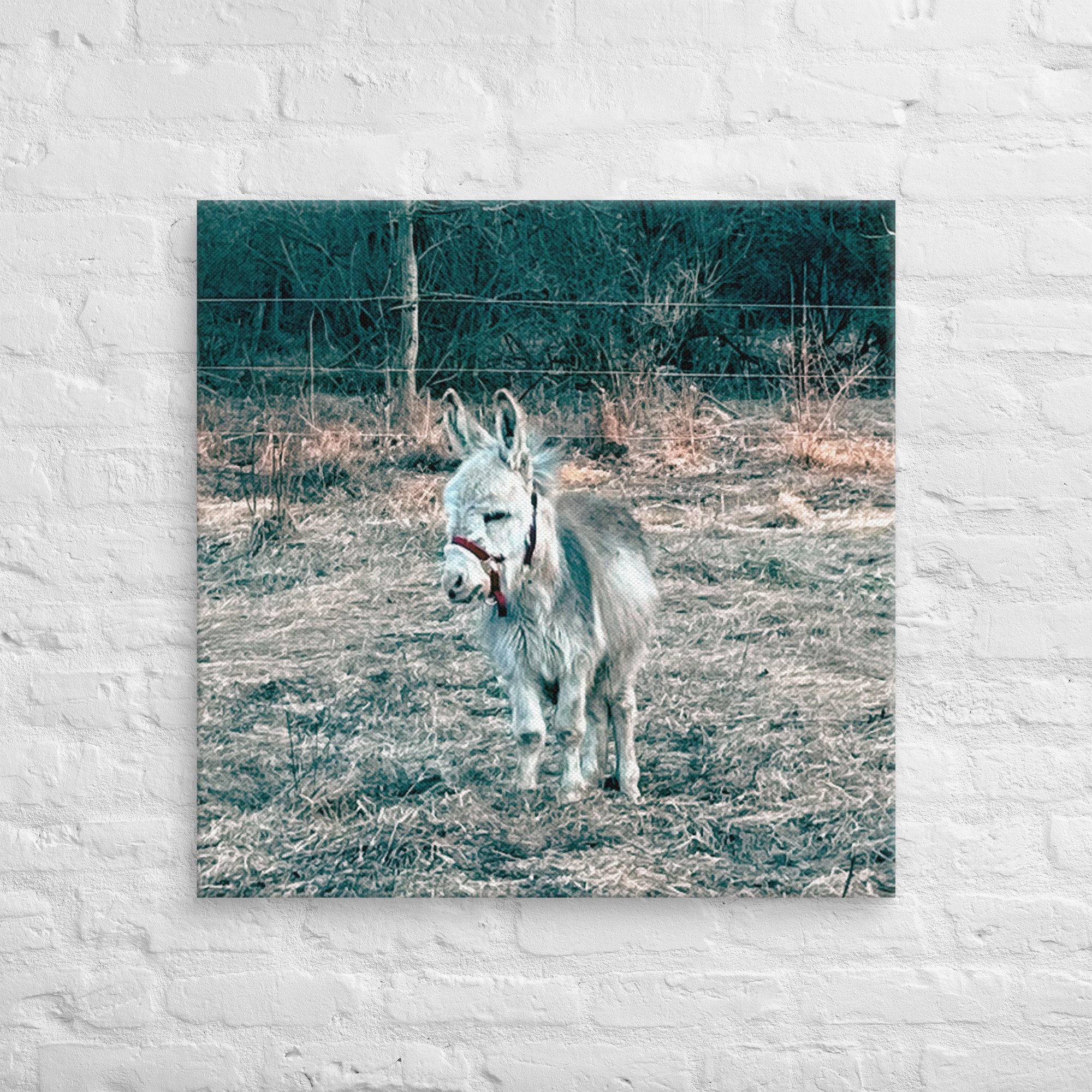 canvas-(in)-30x30-front-67c4c449ca9e7.jpg