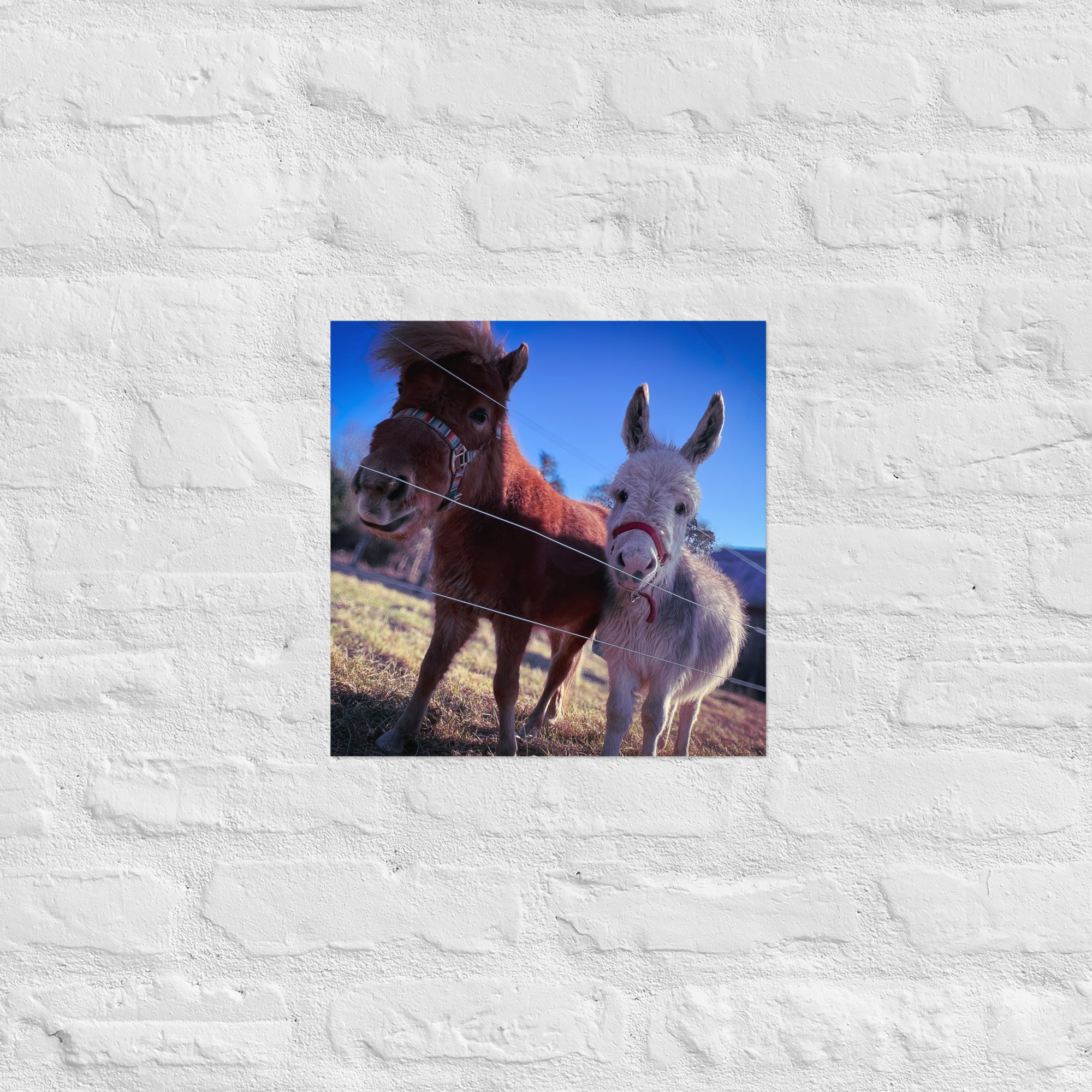 enhanced-matte-paper-poster-(in)-14x14-front-67c4fc65d7d85.jpg