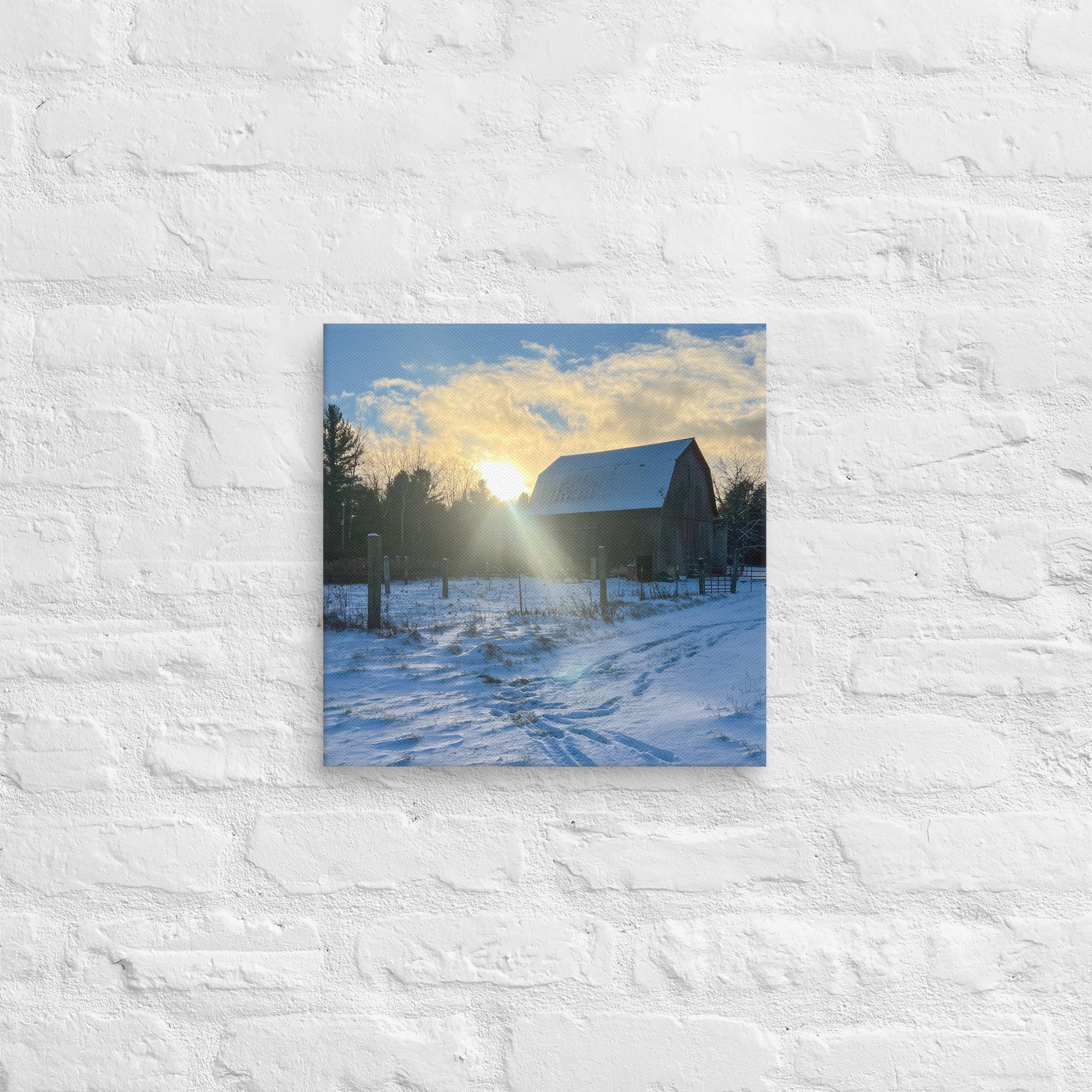 canvas-(in)-14x14-front-67c4fd7cbc8f0.jpg