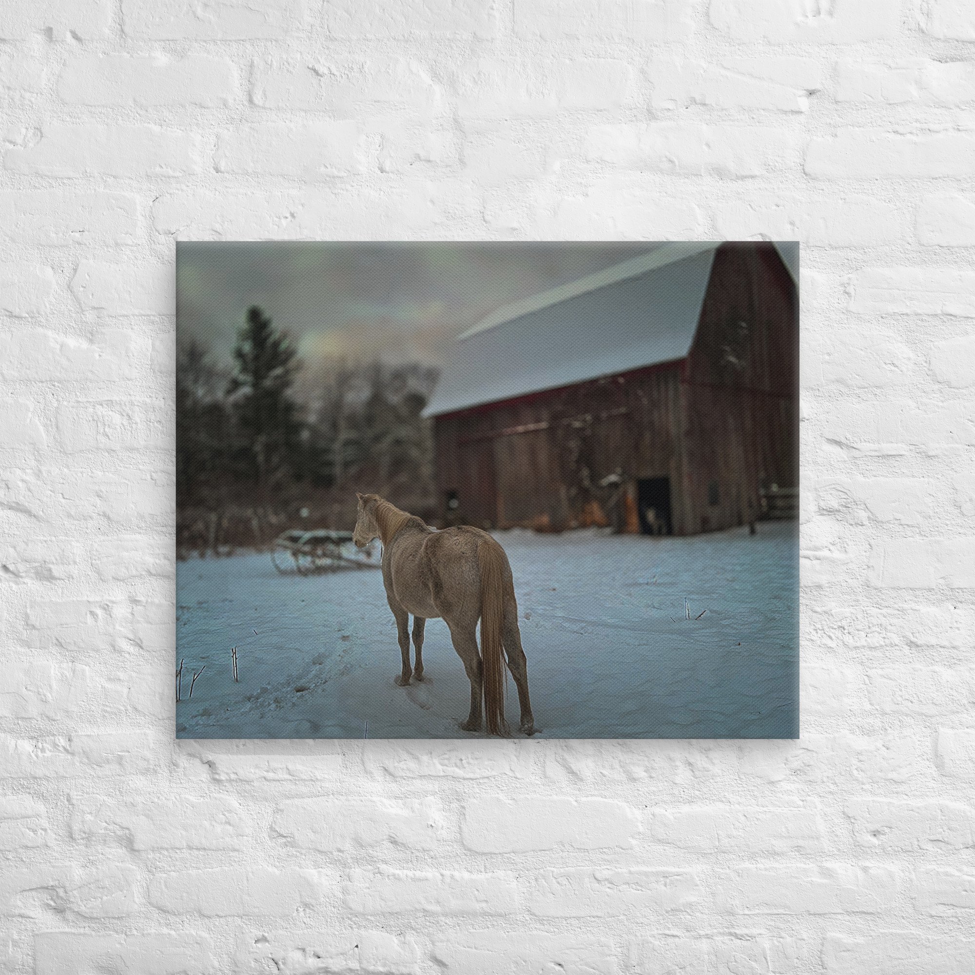 canvas-(in)-24x30-front-67c4fe4e95cad.jpg