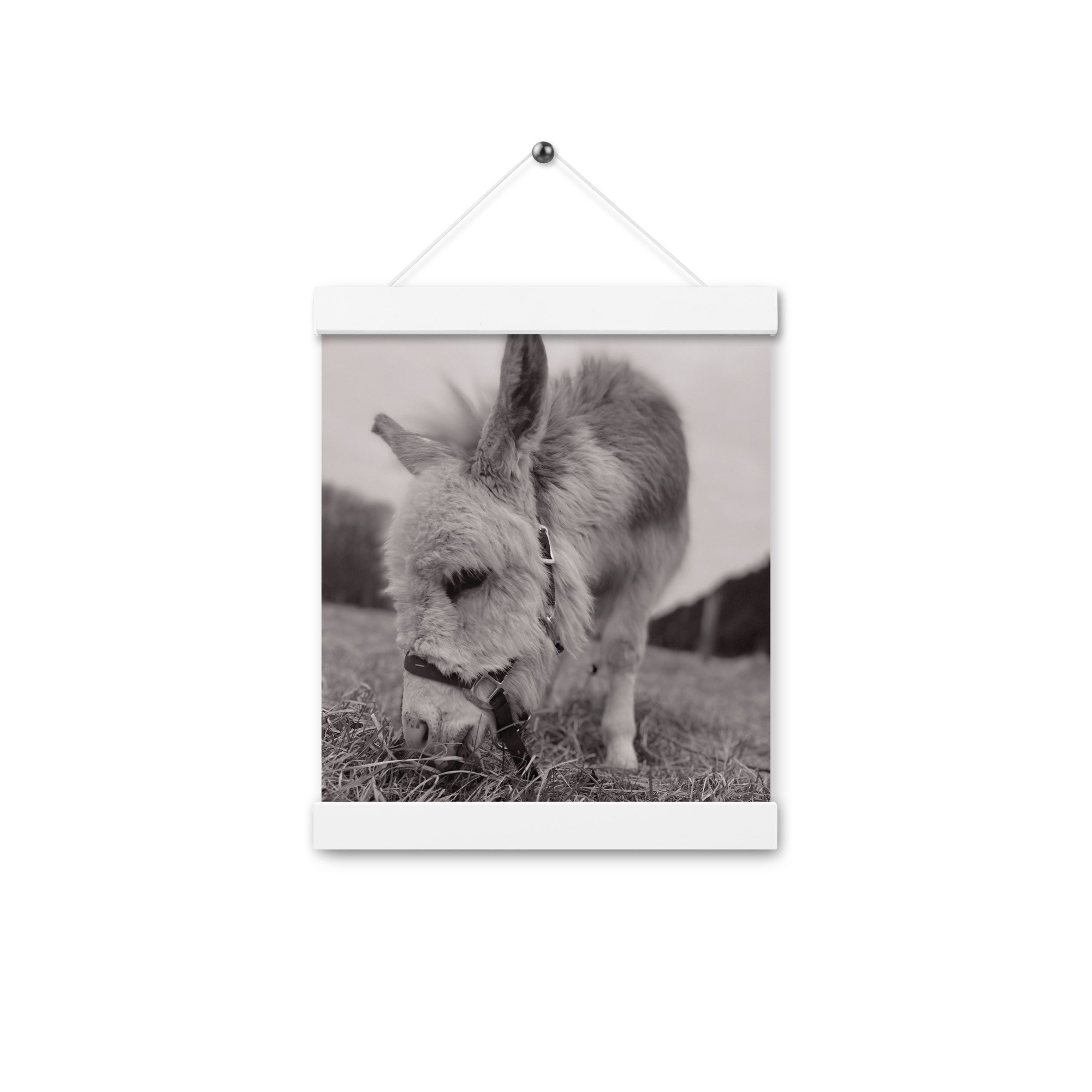 enhanced-matte-paper-poster-with-hanger-(in)-white-8x10-front-67c850269dee2.jpg