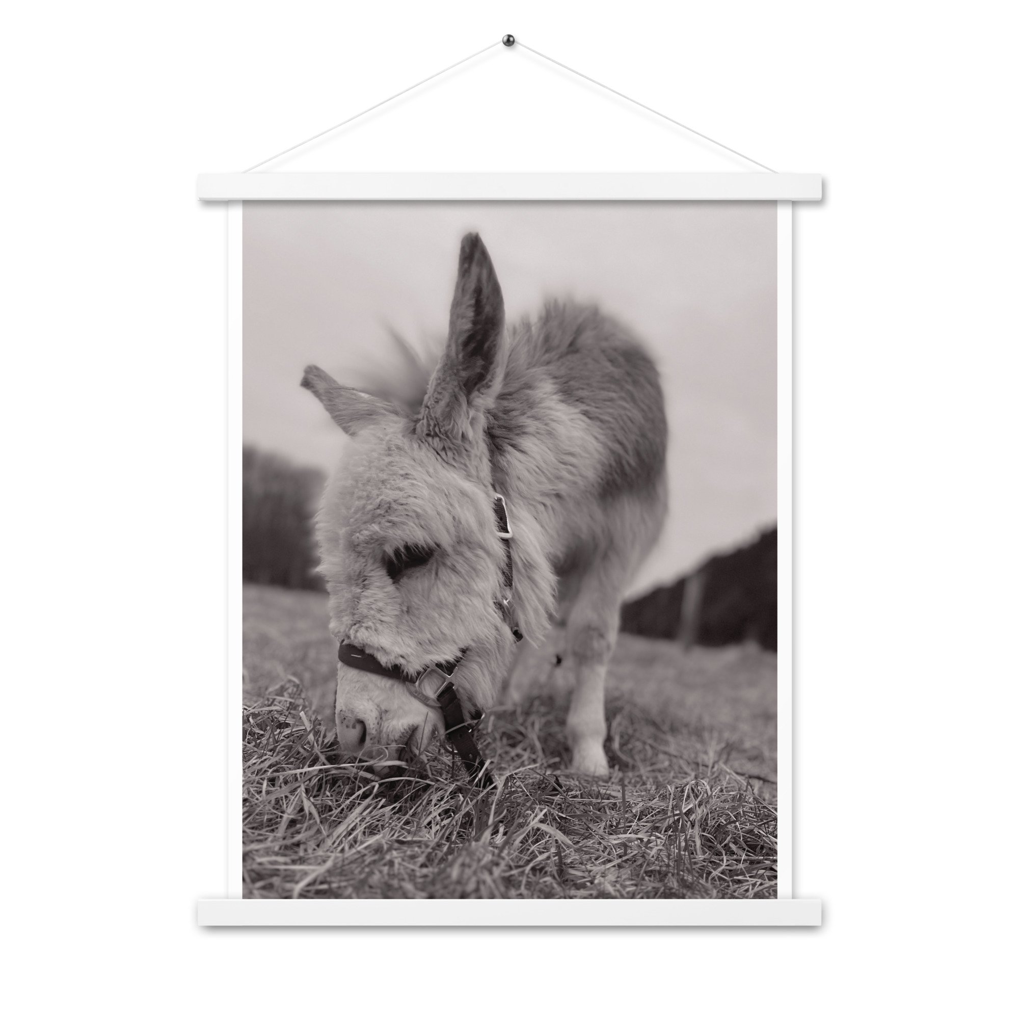 enhanced-matte-paper-poster-with-hanger-(in)-white-18x24-front-67c850269dfda.jpg