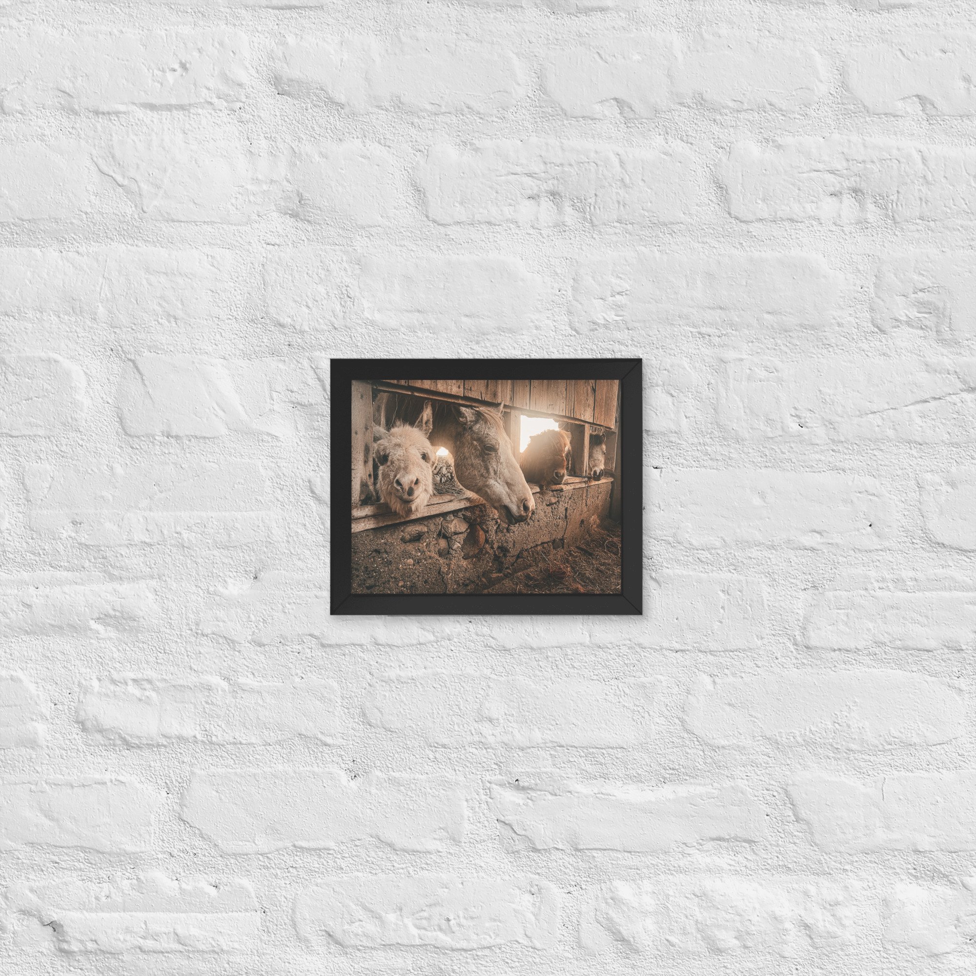 enhanced-matte-paper-framed-poster-(in)-black-8x10-front-67d5b0060bf1a.jpg