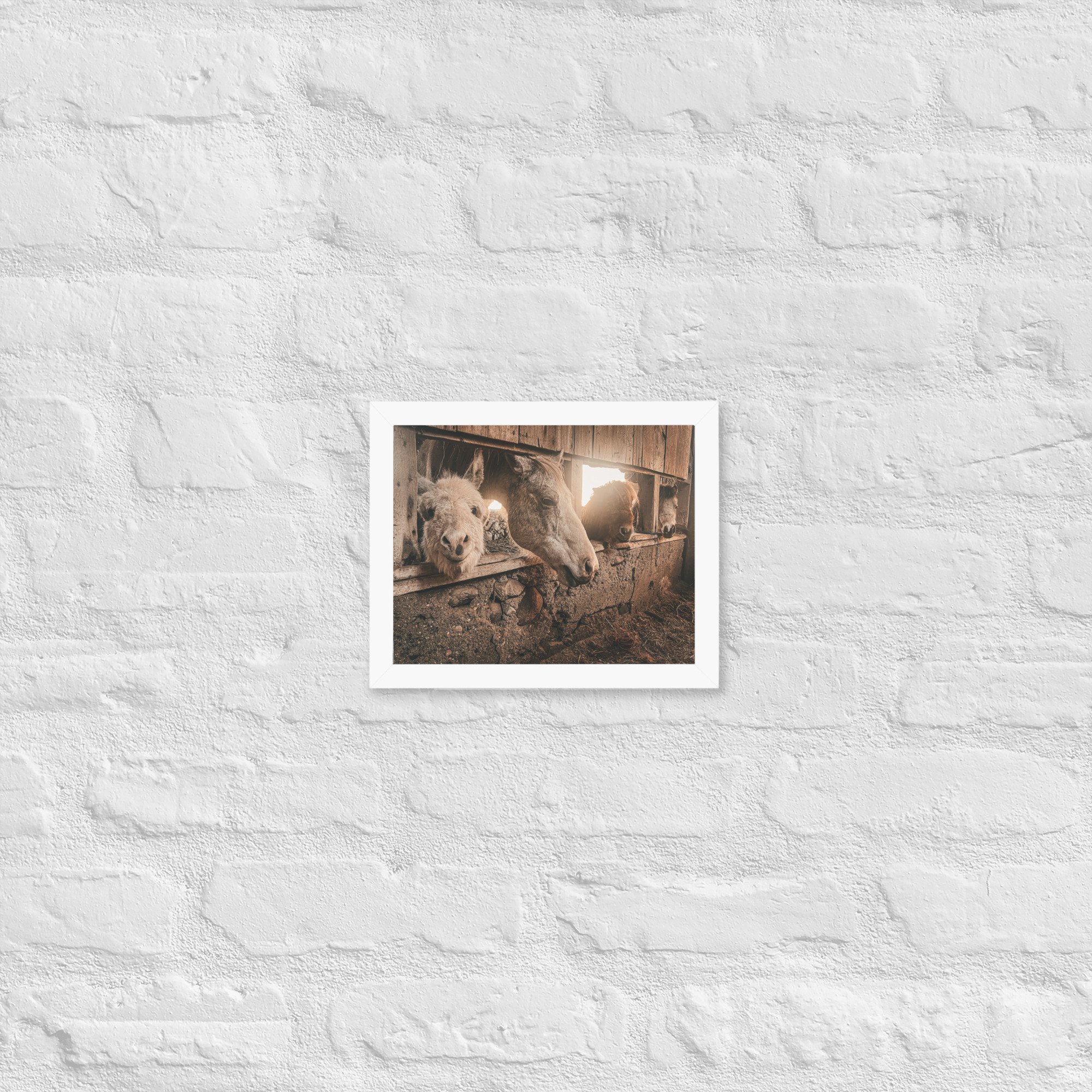 enhanced-matte-paper-framed-poster-(in)-white-8x10-front-67d5b0060c0d3.jpg