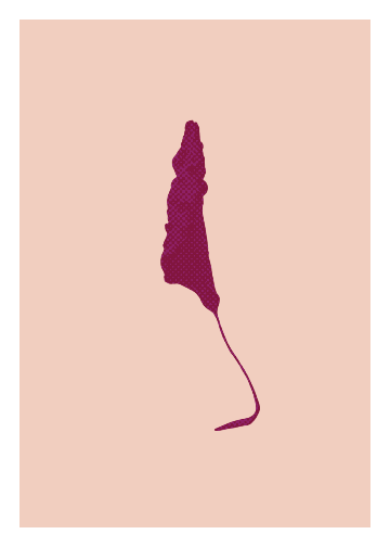 Still Life Rose Petal Edition3.png