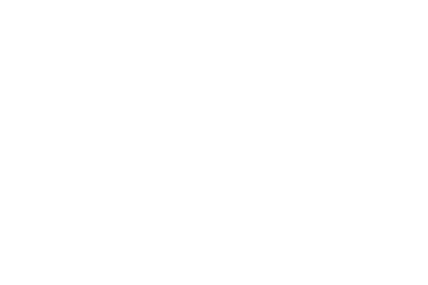TimesBrasil.png