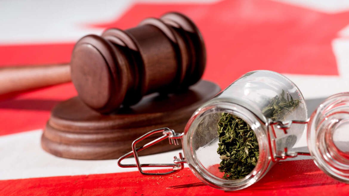 Ontario Today Features Angela Chaisson Speaking About Cannabis Pardons