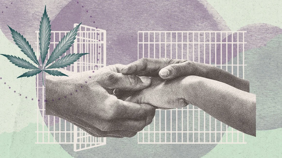Ontario Today Features Angela Chaisson Speaking About Cannabis Pardons