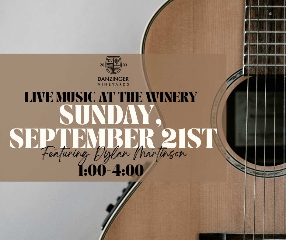 Live Music Featuring Dylan MartInson