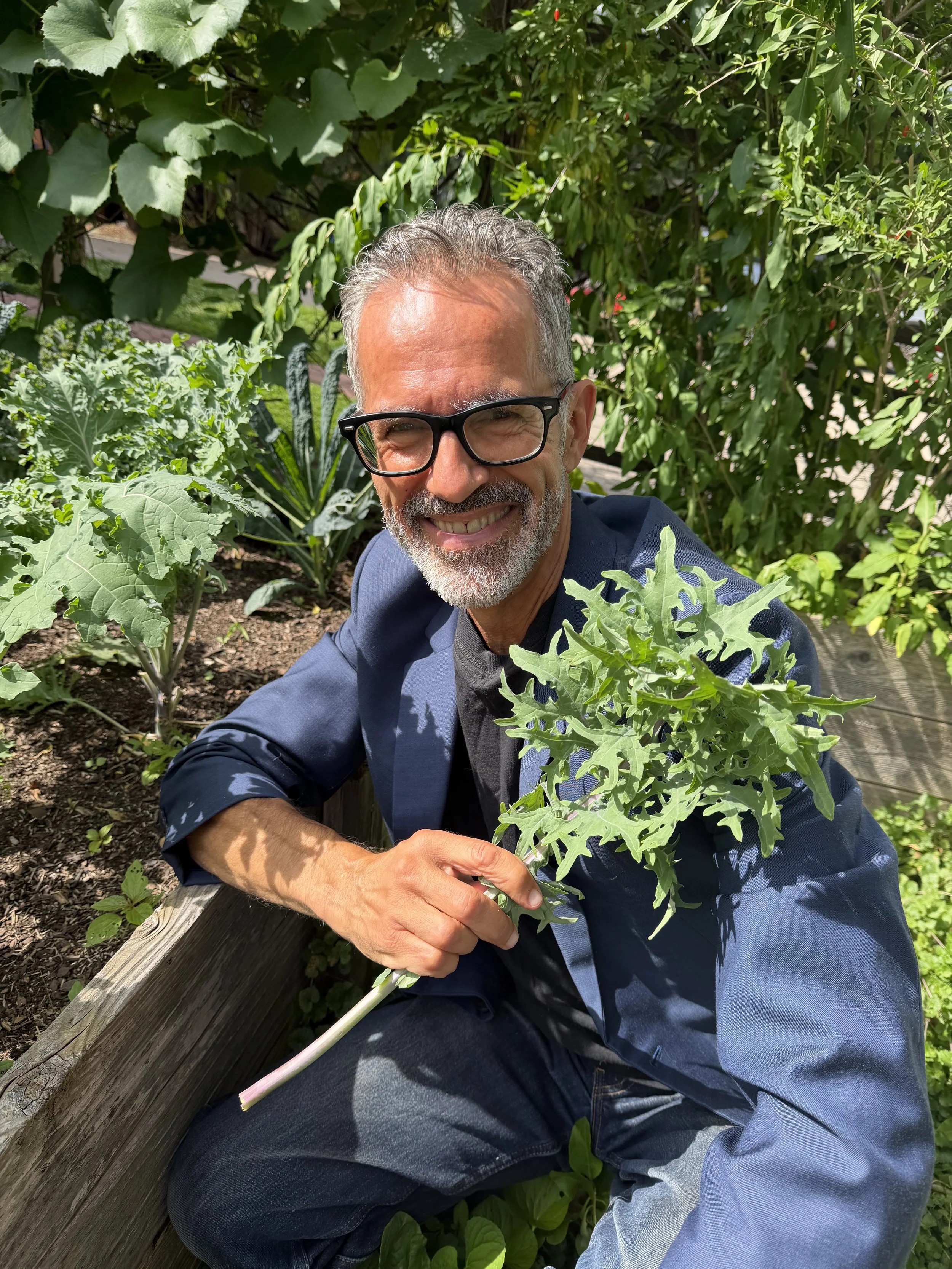 A smiling man with glasses, gray hair, and a beard, sitting in a garden surrounded by leafy green plants, holding a large leafy green vegetable.