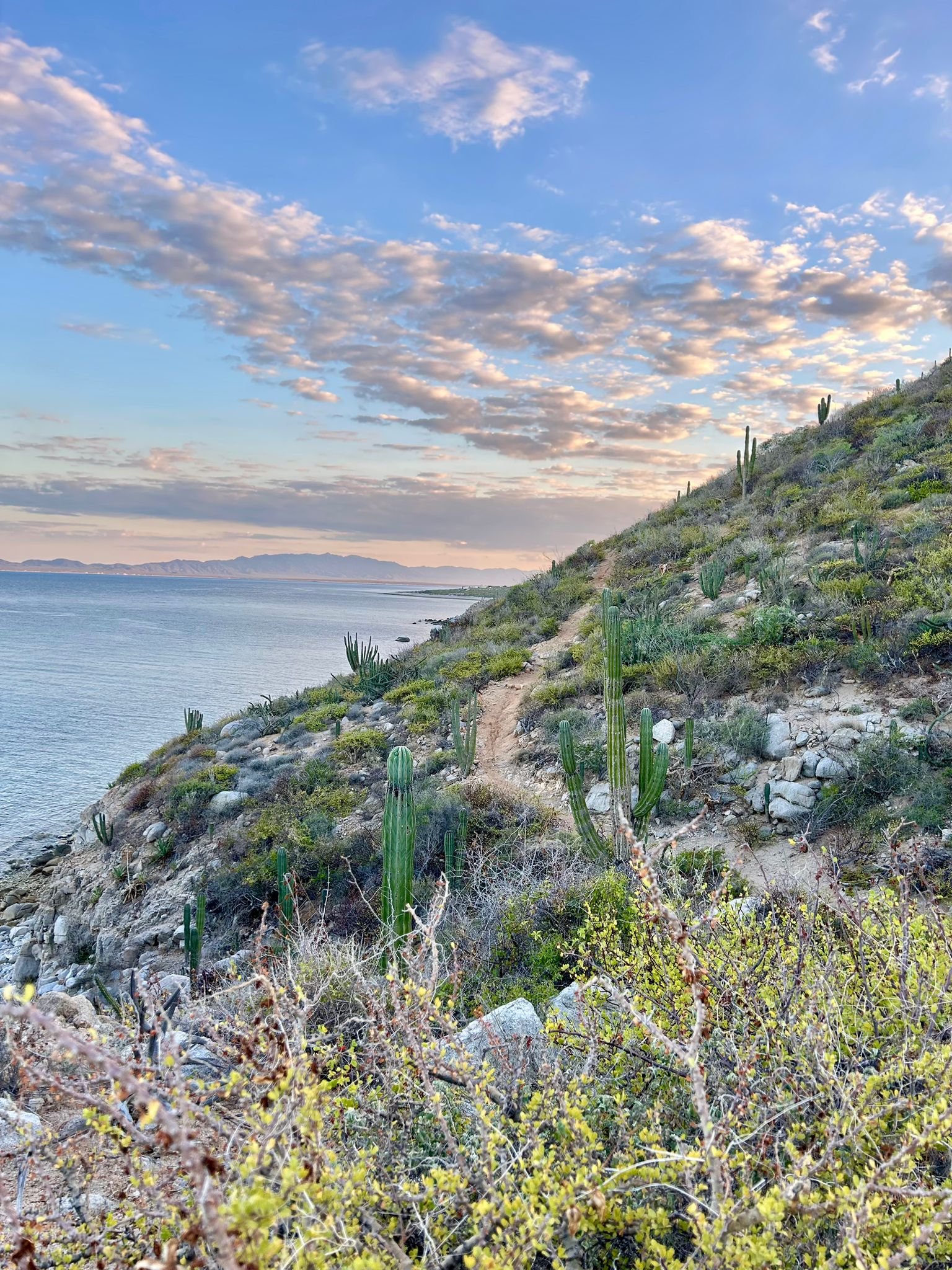Punta Gorda hike, El Sargento, Baja California Sur.