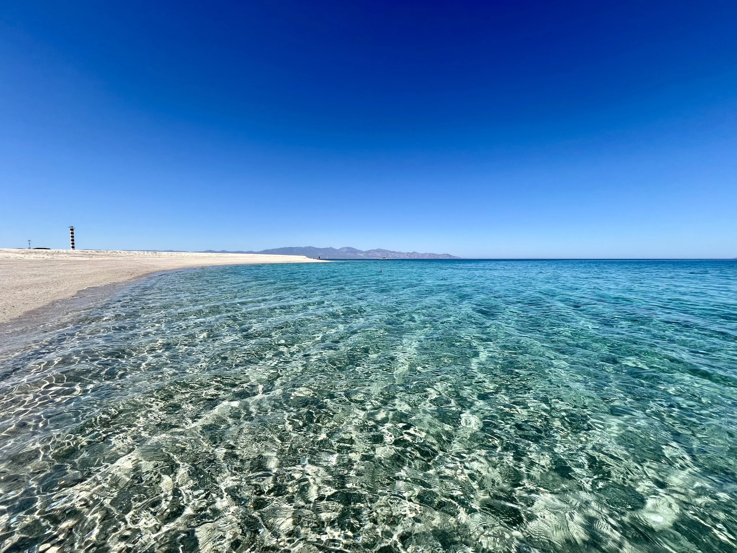 Lunch during Sea safari at Punta Arena Beach, Baja California Sur. Almuerzo durante Sea safari en playa Punta Arena, Baja California Sur.