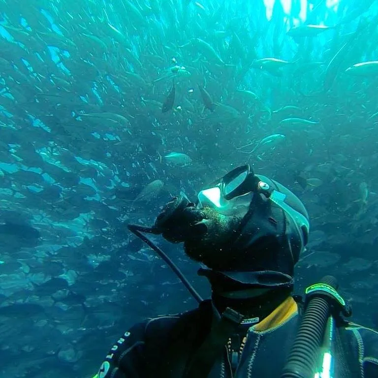 Yago Doson, Marine Biologist and Fisheries Scientist, Founder of Monkeys of the Sea. Picture taken in 2016 in Cabo Pulmo, Sea of Cortez, Baja California Sur.