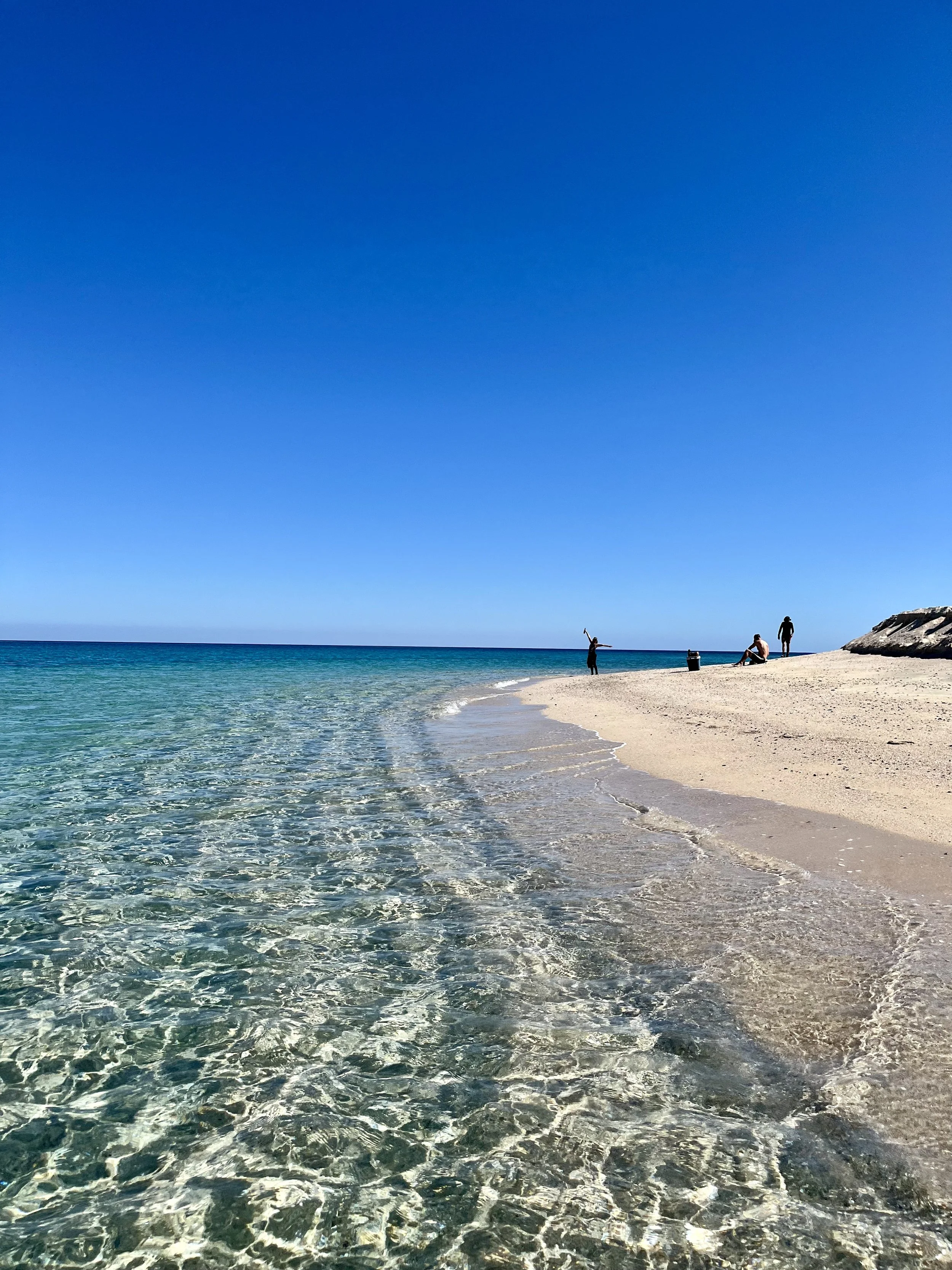 Lunch during Sea safari at Punta Arena Beach, Baja California Sur. Almuerzo durante Sea safari en playa Punta Arena, Baja California Sur.