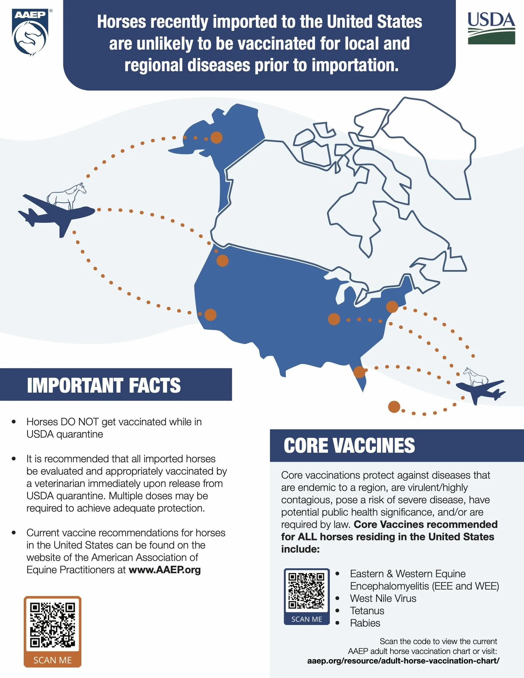 Vaccination - Import Horses