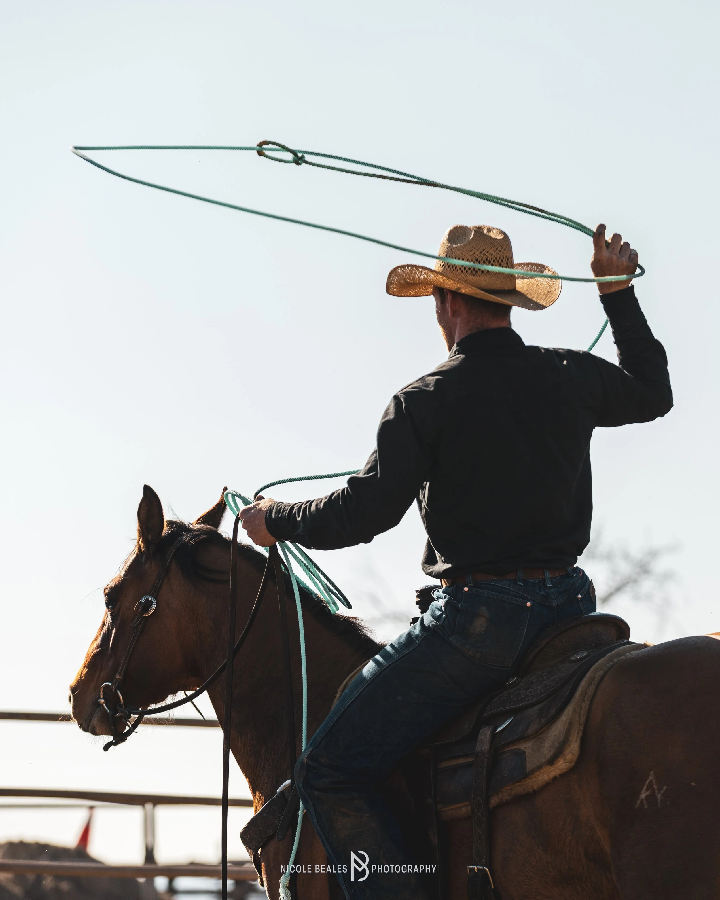 A man riding a horse, holding a lasso, and wearing a wide-brimmed straw hat, a black shirt, and jeans, set against a bright sky.